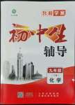 2022年本土教輔名校學(xué)案初中生輔導(dǎo)九年級(jí)化學(xué)下冊(cè)人教版