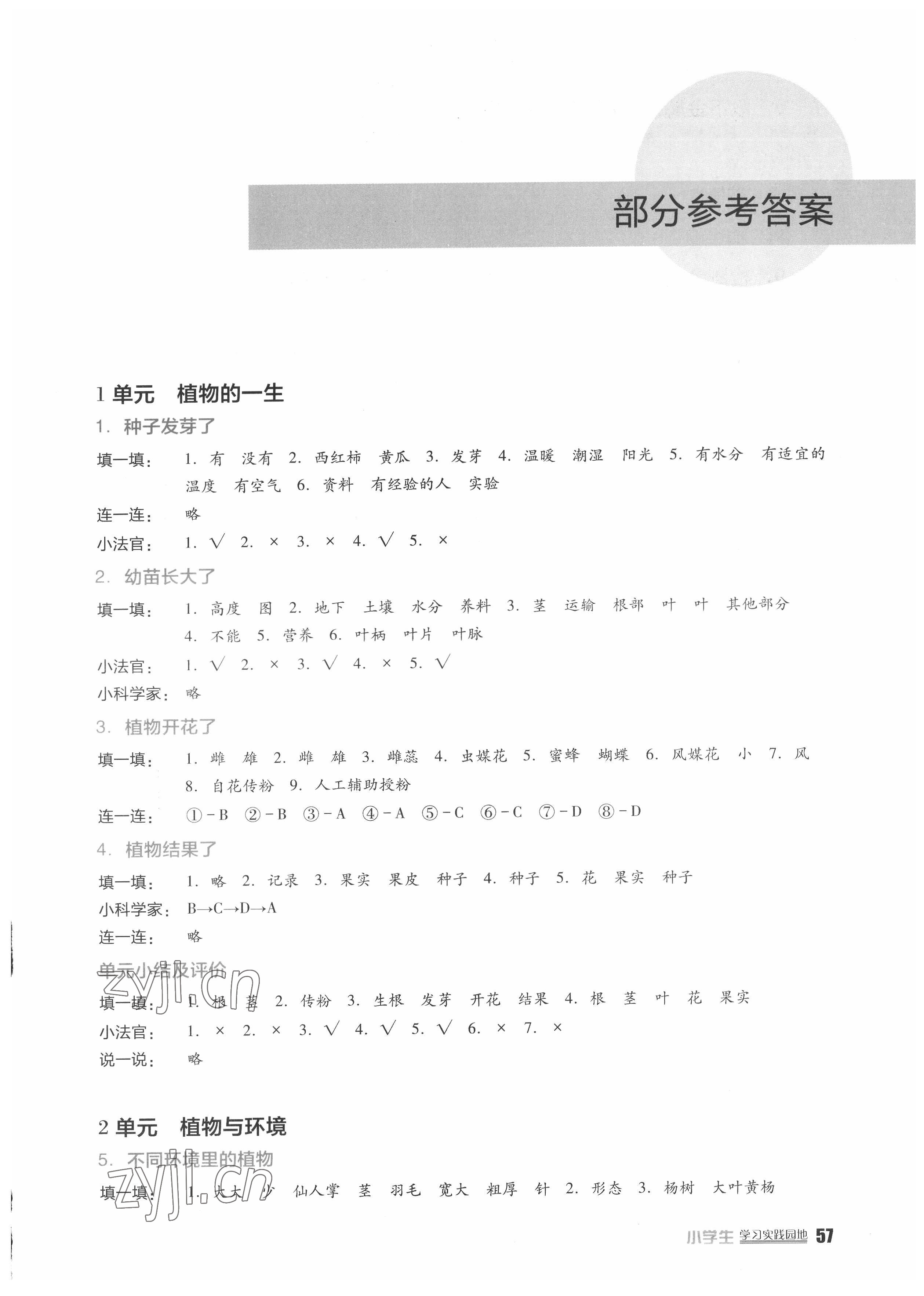 2022年小学生学习实践园地三年级科学下册苏教版 第1页