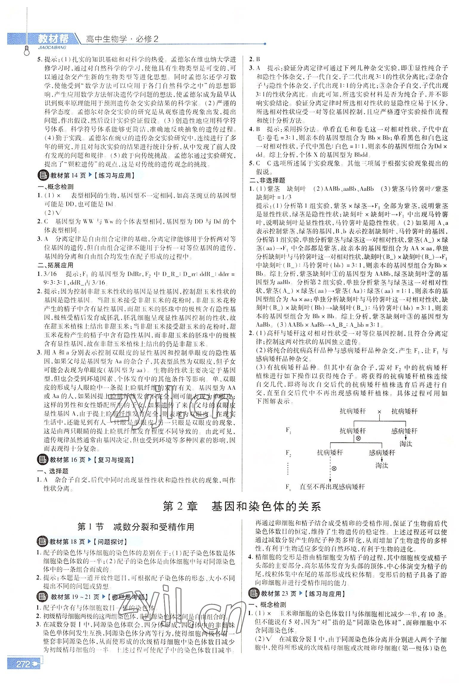 2022年教材課本高中生物必修2人教版 參考答案第2頁