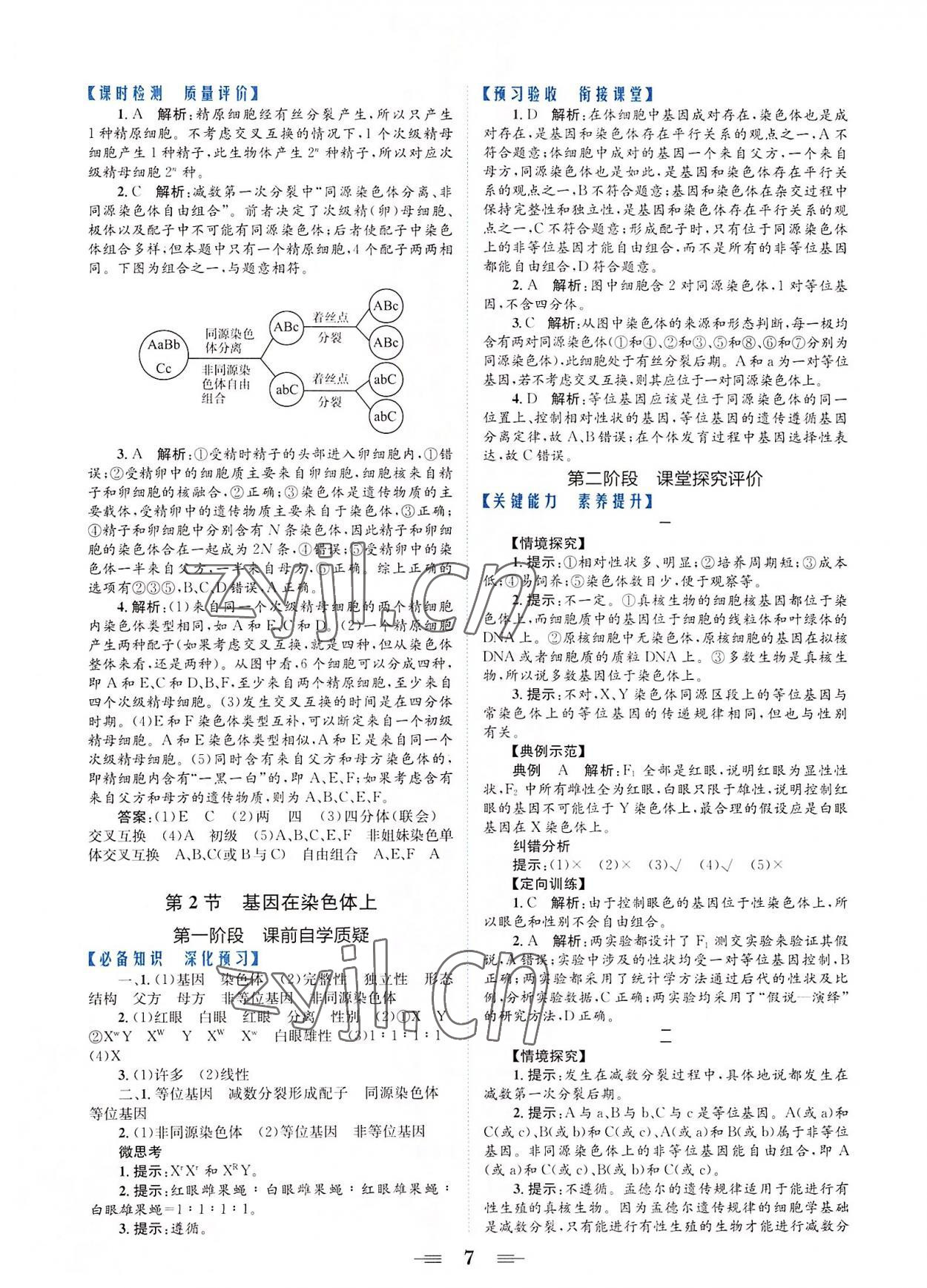 2022年點(diǎn)金訓(xùn)練精講巧練高中生物必修2人教版 參考答案第7頁