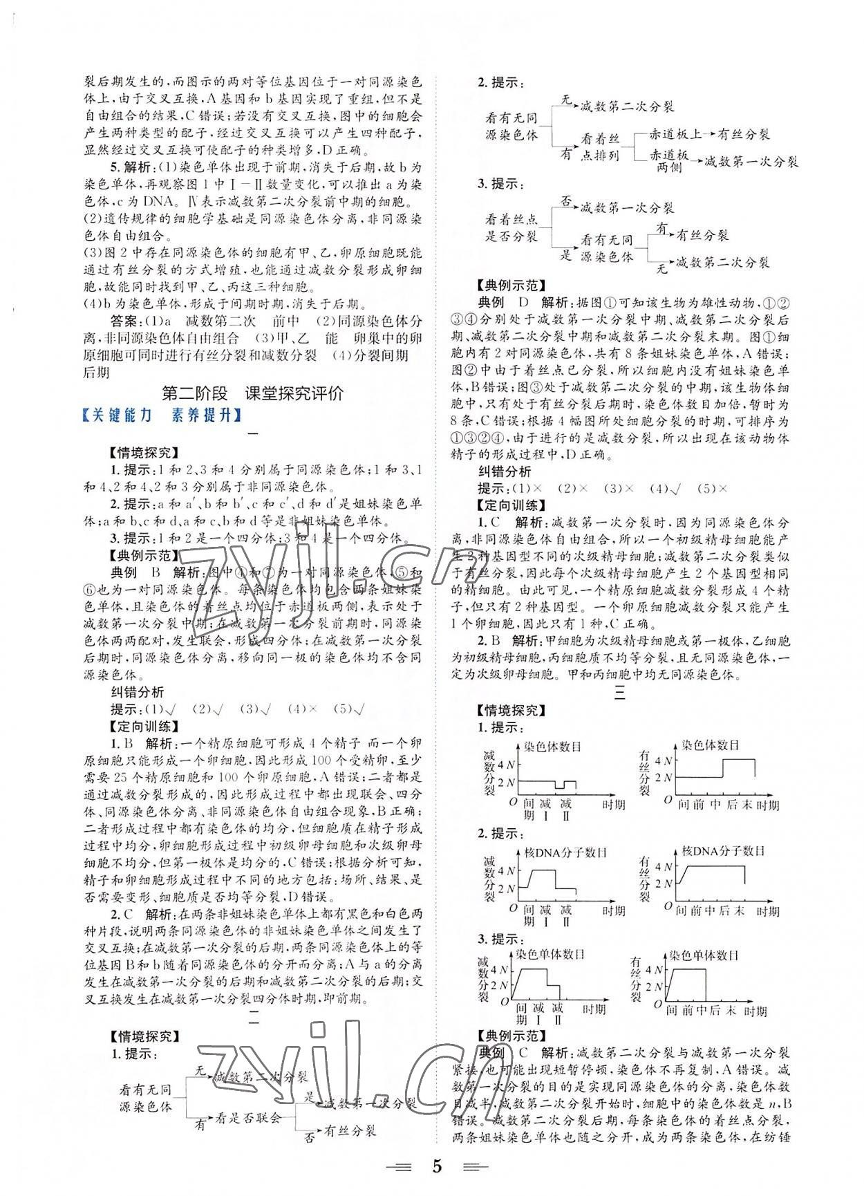 2022年點(diǎn)金訓(xùn)練精講巧練高中生物必修2人教版 參考答案第5頁