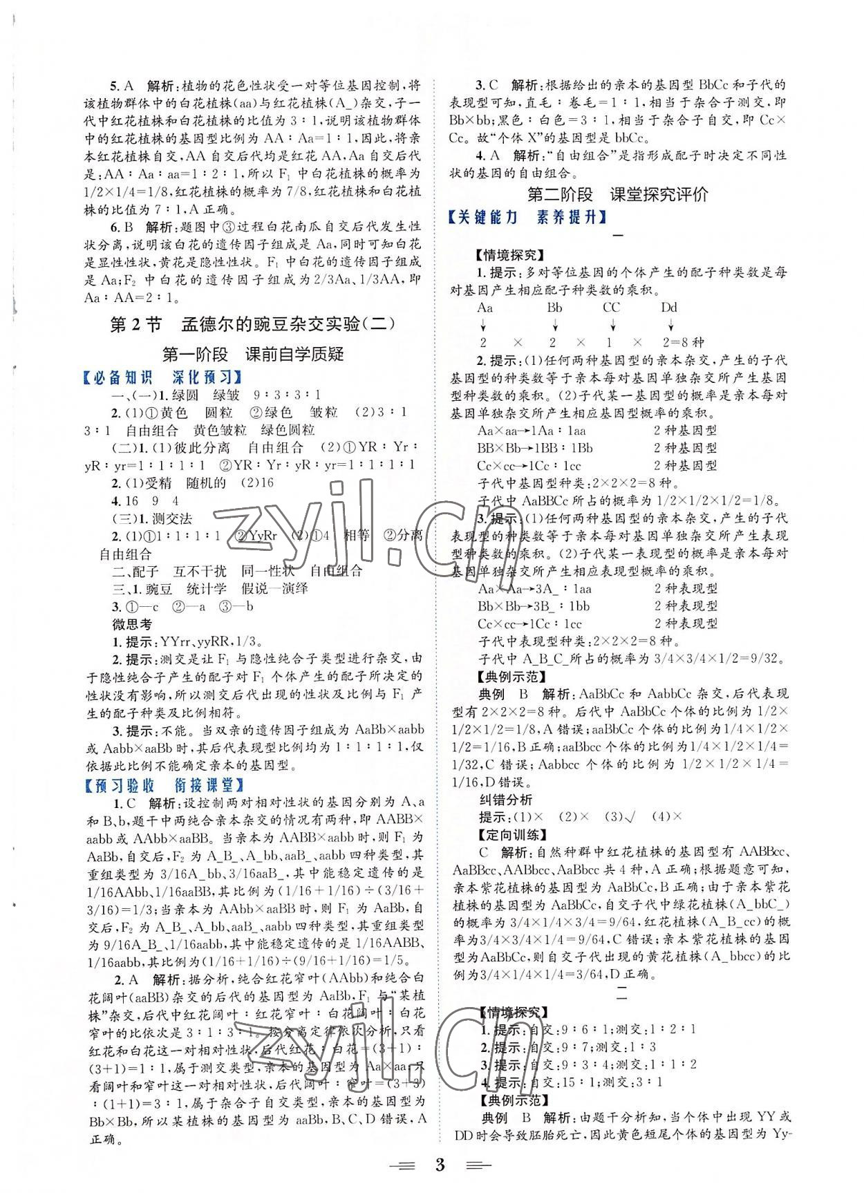 2022年點(diǎn)金訓(xùn)練精講巧練高中生物必修2人教版 參考答案第3頁(yè)