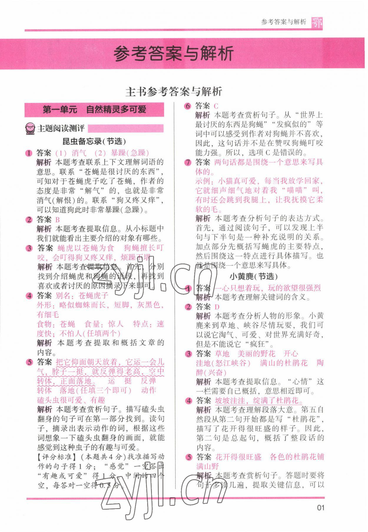 2022年木頭馬閱讀力測評三年級語文B版大武漢專版 參考答案第1頁