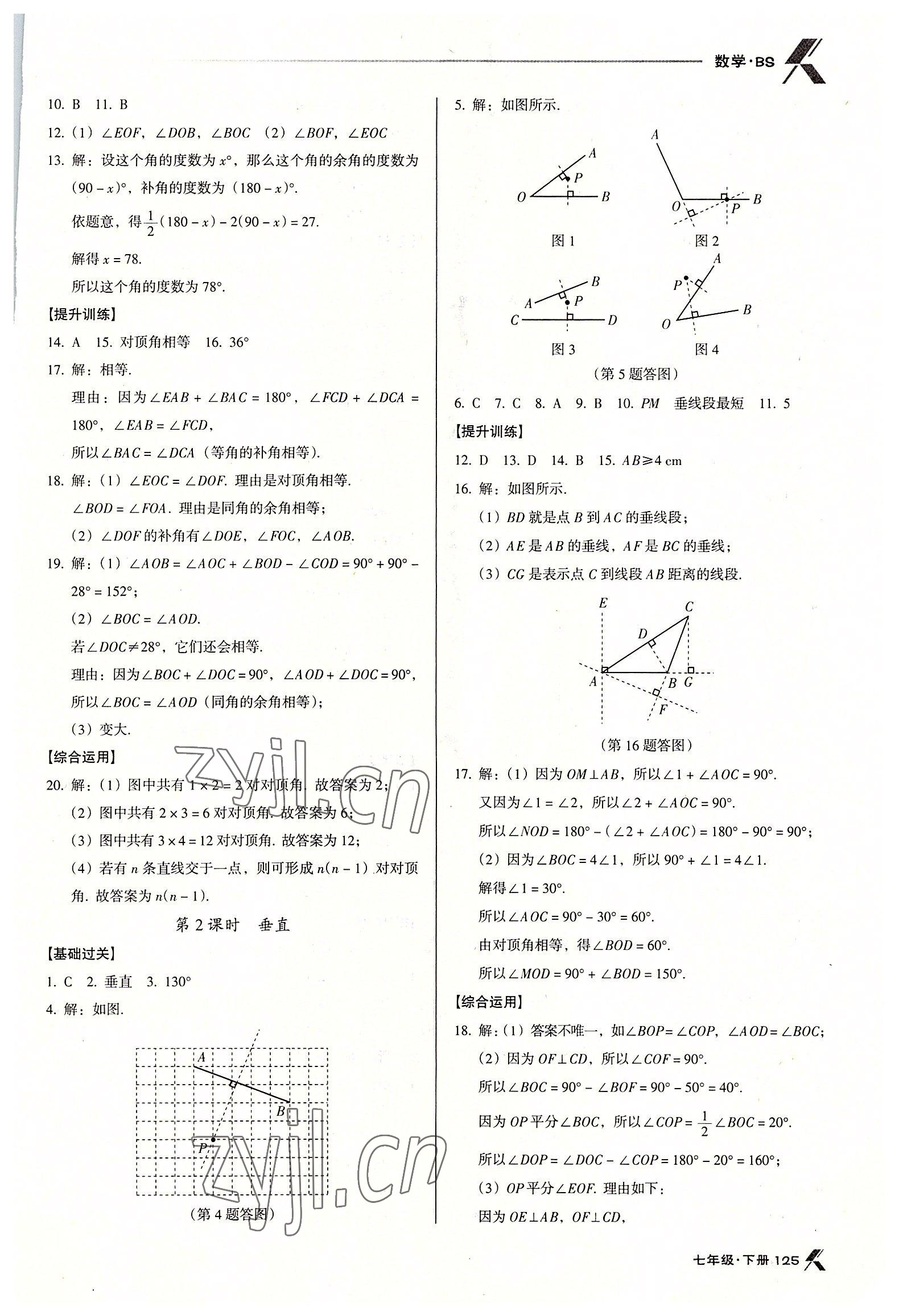 2022年全优点练课计划七年级数学下册北师大版 第7页