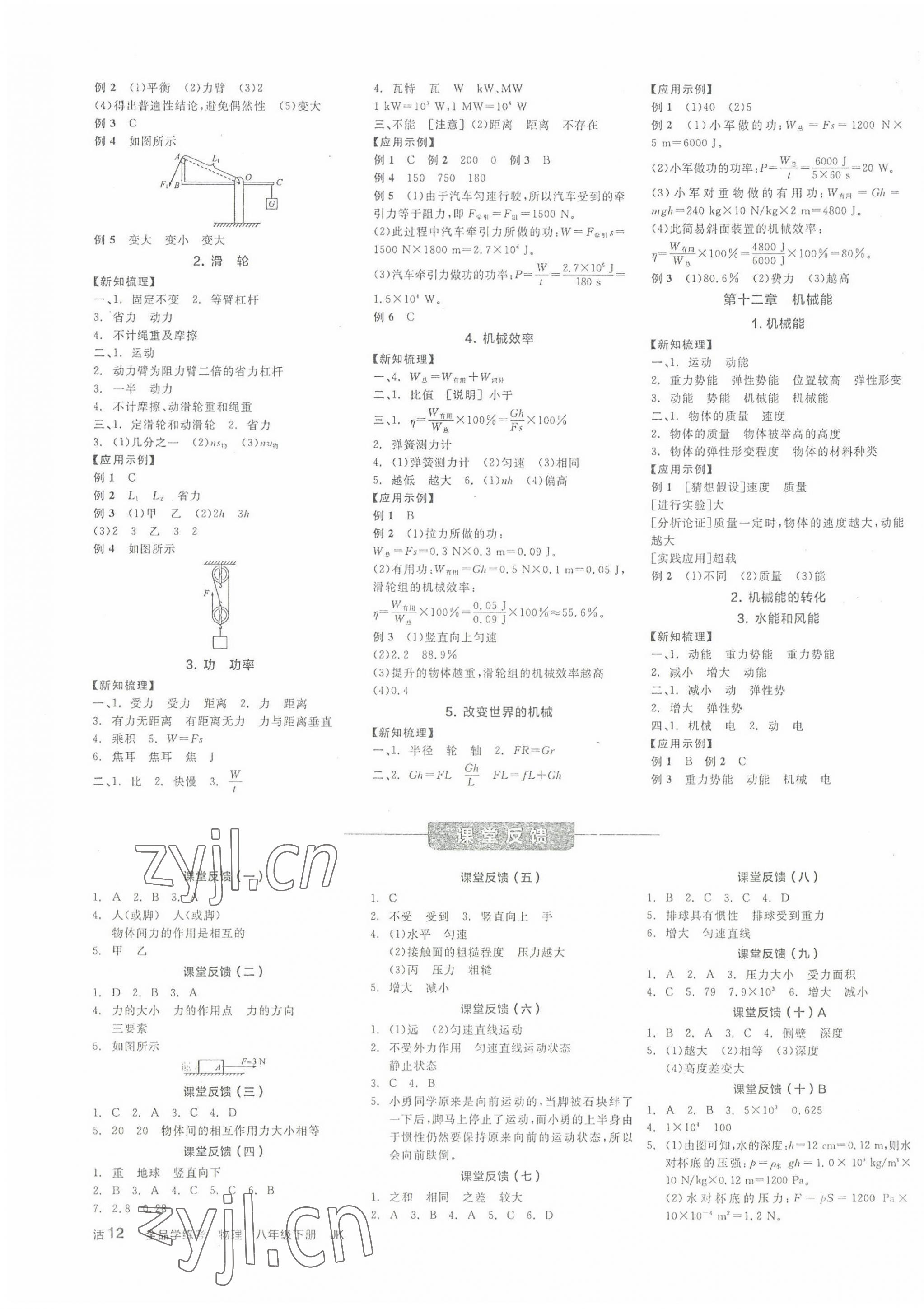 2022年全品學(xué)練考八年級物理下冊教科版 第3頁