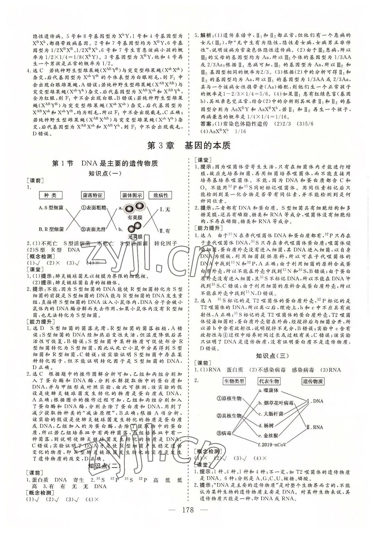 2022年三維設計生物必修2遺傳與進化 參考答案第9頁