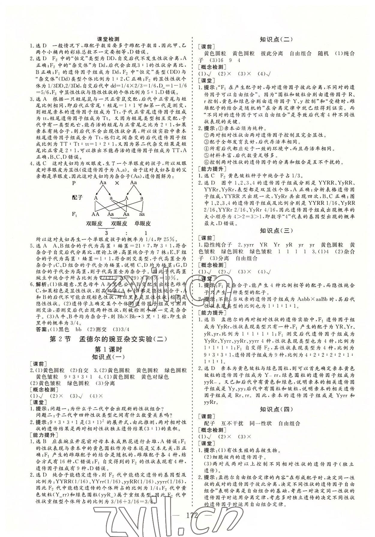 2022年三維設(shè)計生物必修2遺傳與進化 參考答案第3頁