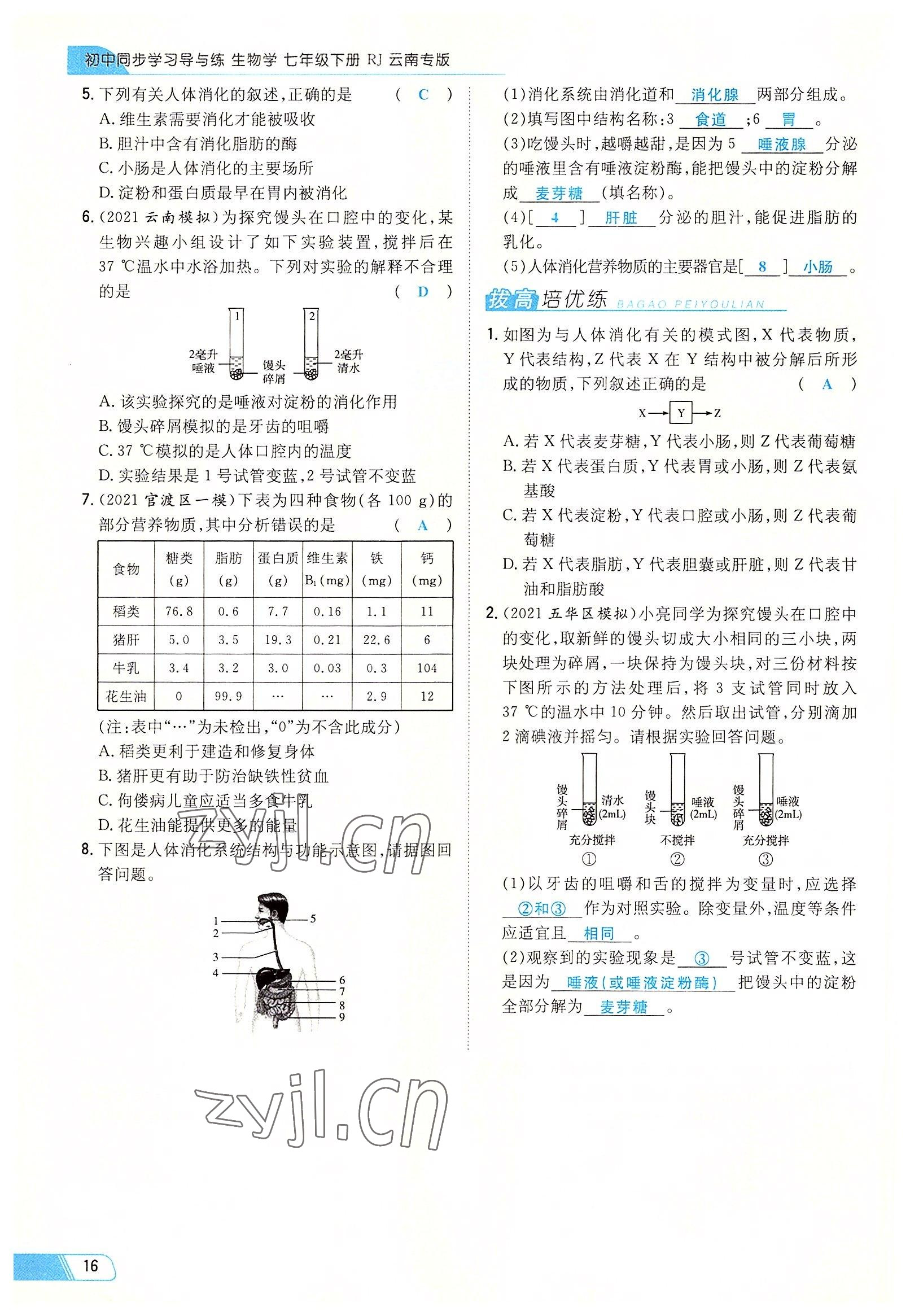 2022年初中同步學(xué)習(xí)導(dǎo)與練導(dǎo)學(xué)探究案七年級生物下冊人教版云南專版 參考答案第16頁