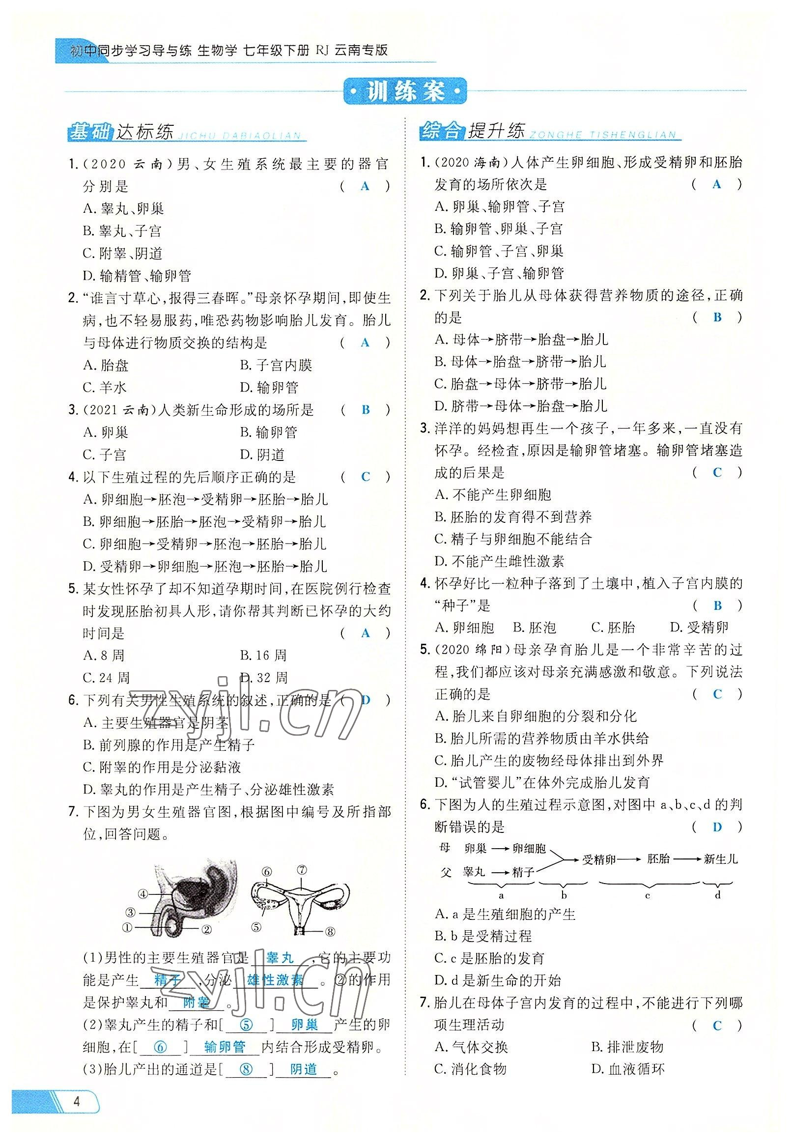 2022年初中同步學(xué)習(xí)導(dǎo)與練導(dǎo)學(xué)探究案七年級(jí)生物下冊(cè)人教版云南專版 參考答案第4頁