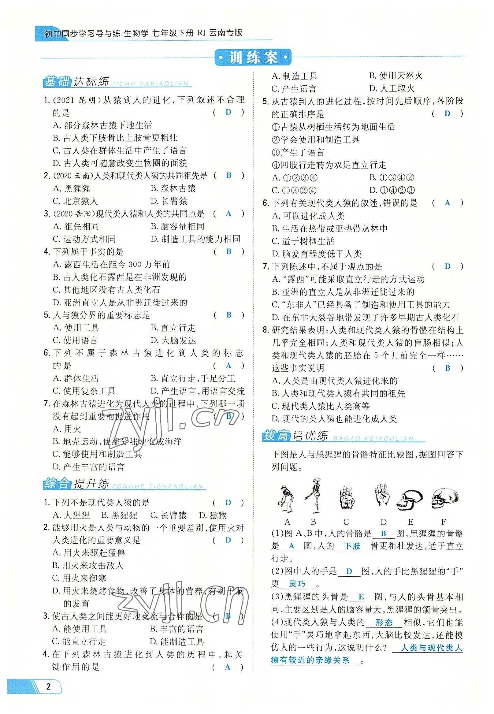 2022年初中同步學(xué)習(xí)導(dǎo)與練導(dǎo)學(xué)探究案七年級生物下冊人教版云南專版 參考答案第2頁