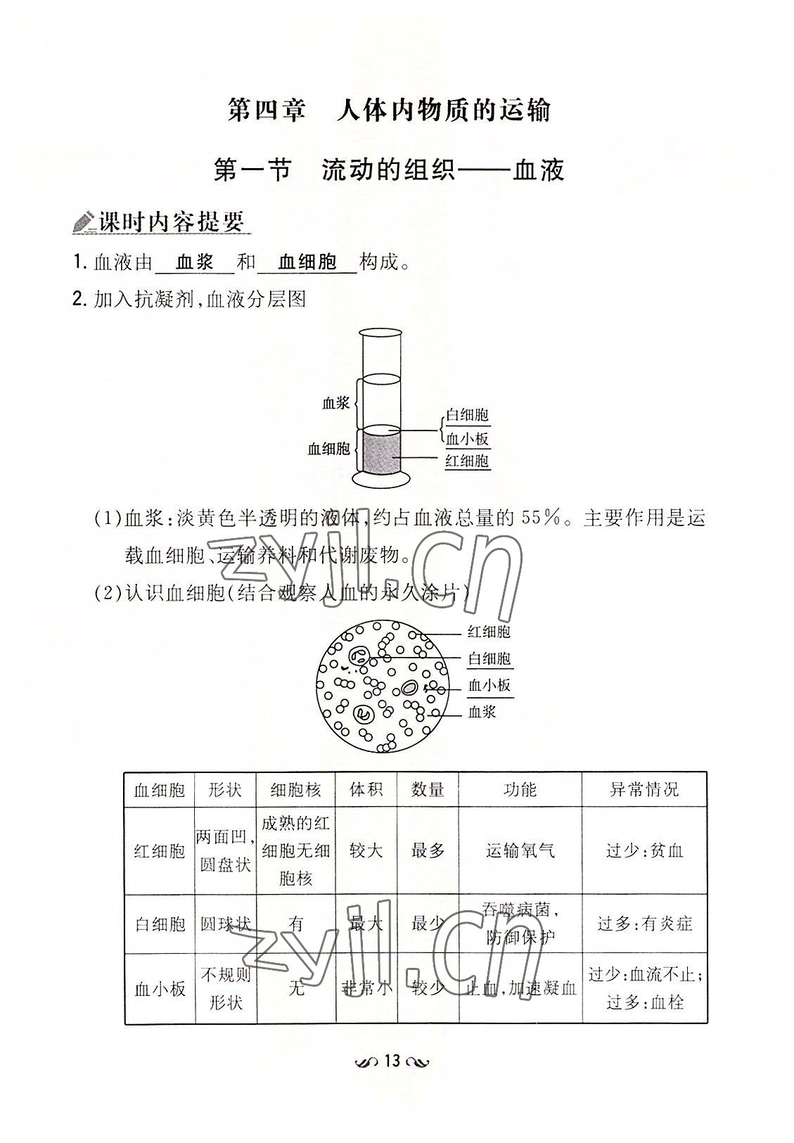 2022年初中同步學習導與練導學探究案七年級生物下冊人教版云南專版 參考答案第13頁