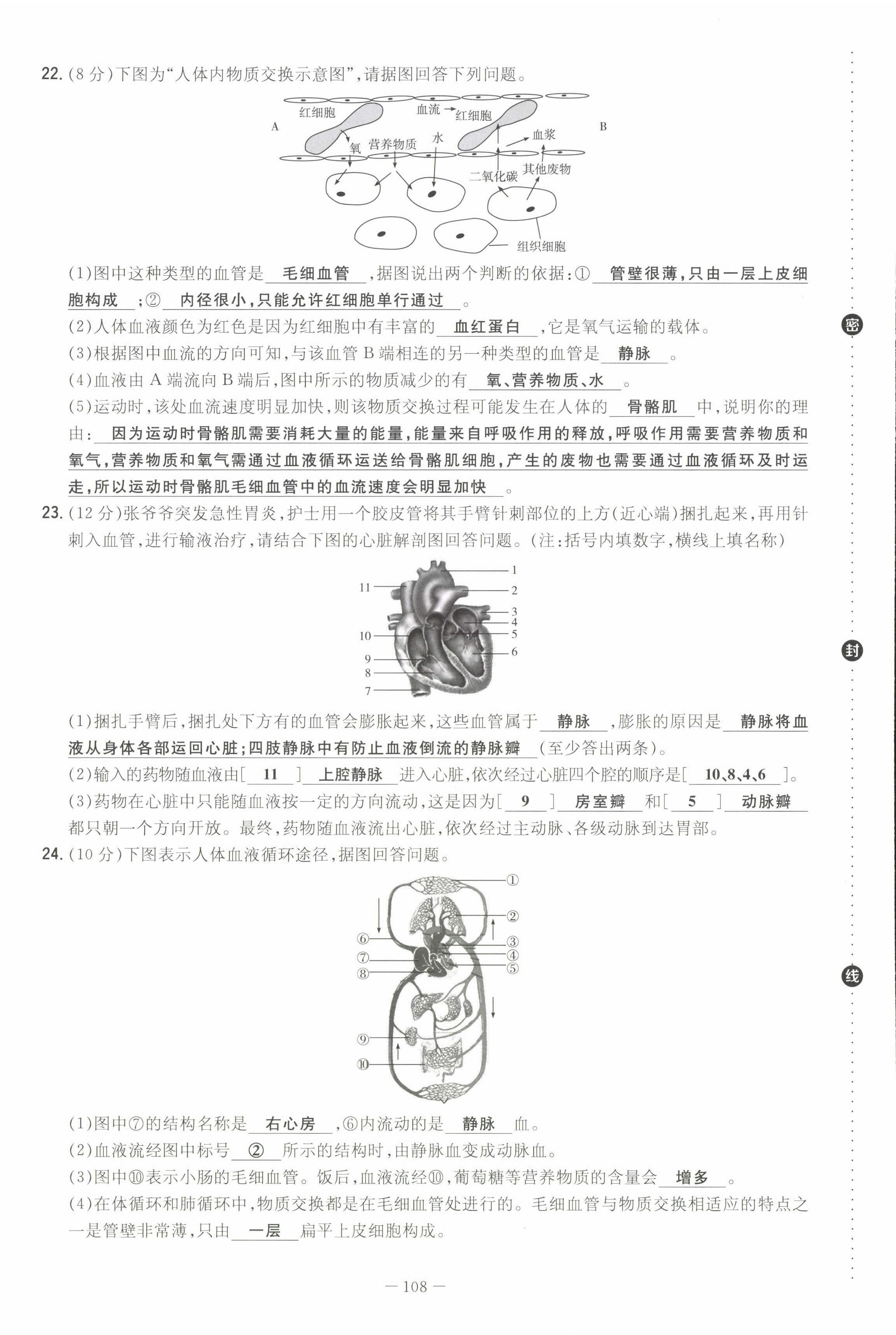 2022年初中同步學(xué)習(xí)導(dǎo)與練導(dǎo)學(xué)探究案七年級生物下冊人教版云南專版 第16頁