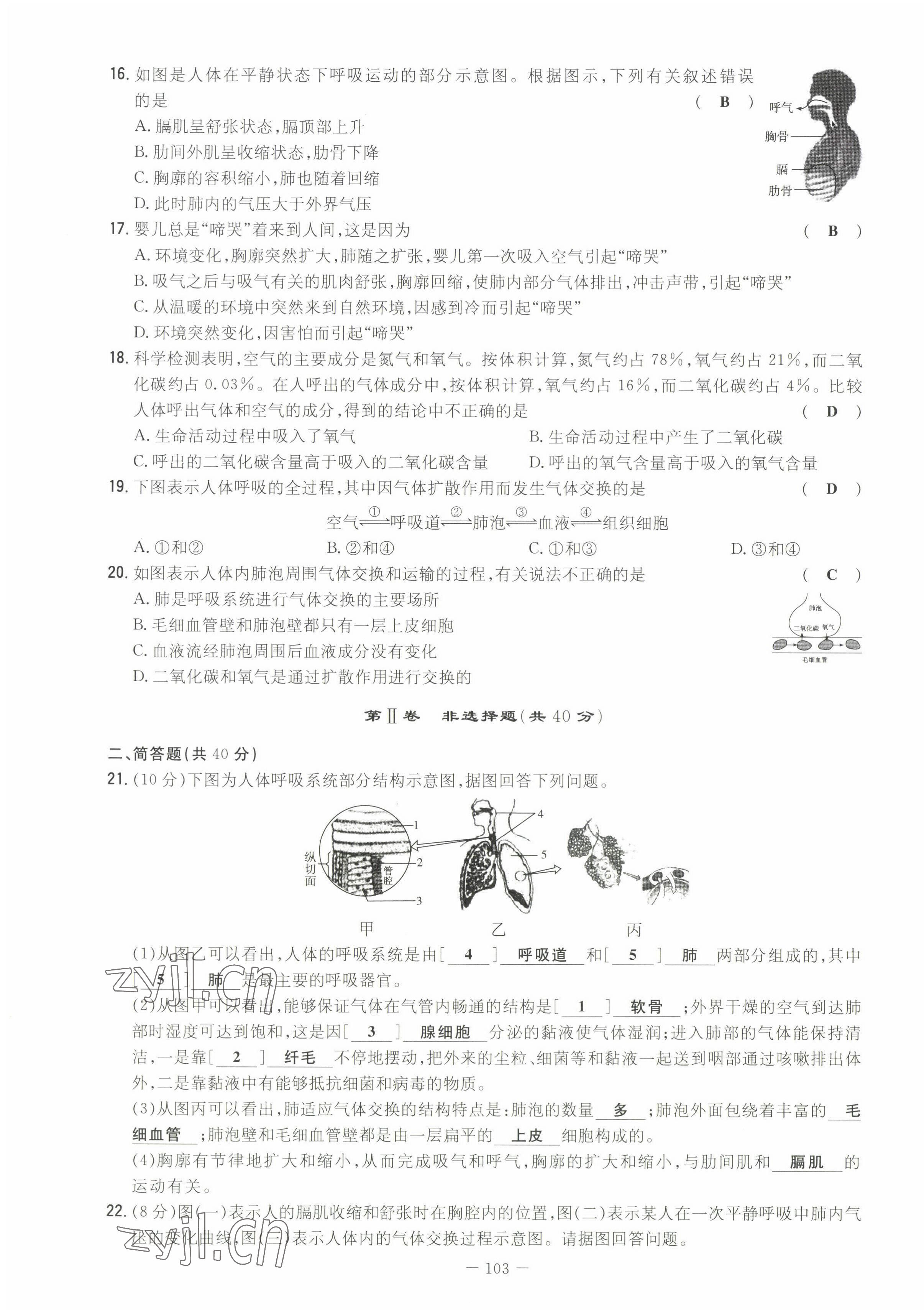 2022年初中同步學(xué)習(xí)導(dǎo)與練導(dǎo)學(xué)探究案七年級(jí)生物下冊(cè)人教版云南專版 第11頁