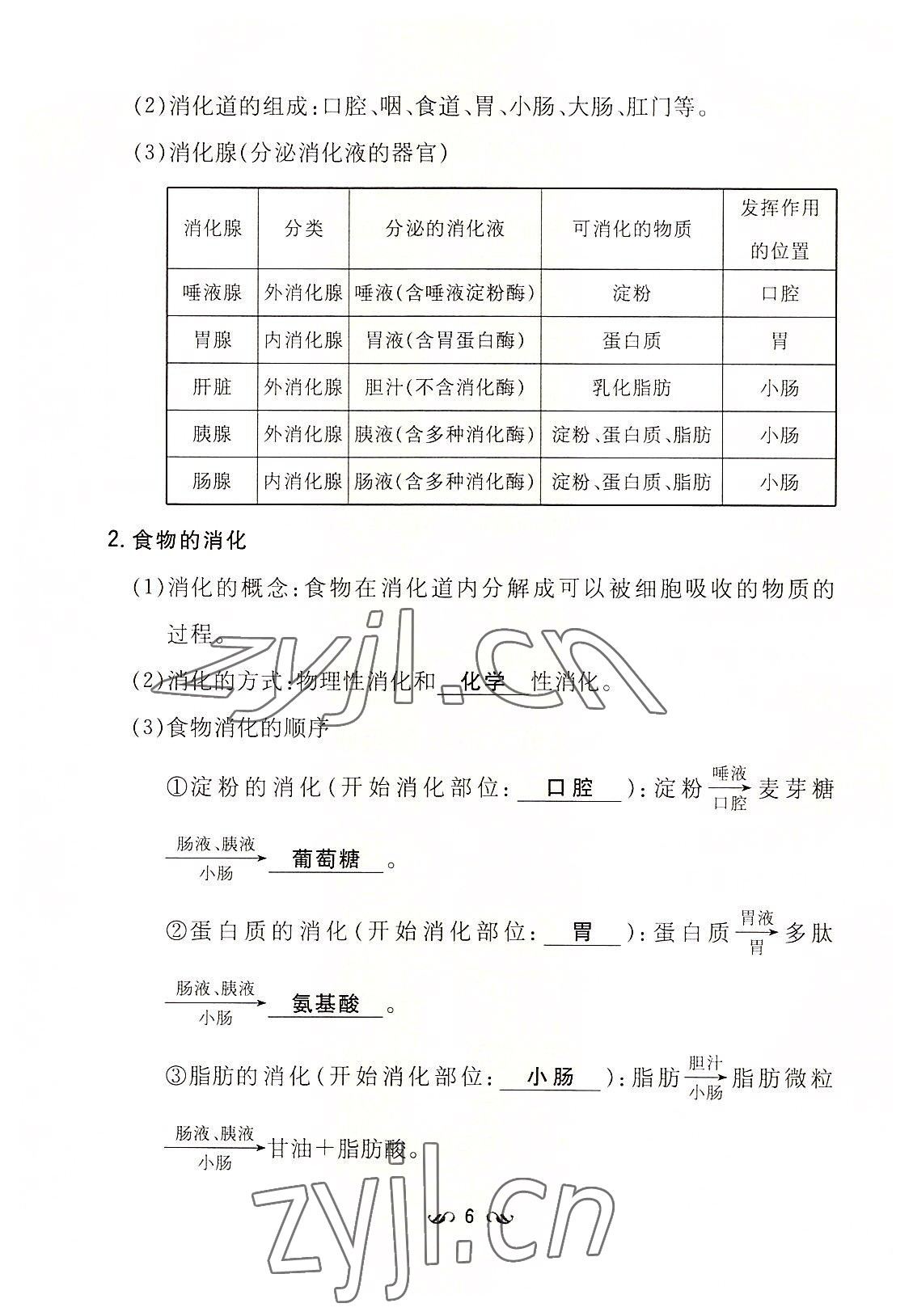 2022年初中同步學(xué)習(xí)導(dǎo)與練導(dǎo)學(xué)探究案七年級生物下冊人教版云南專版 參考答案第6頁