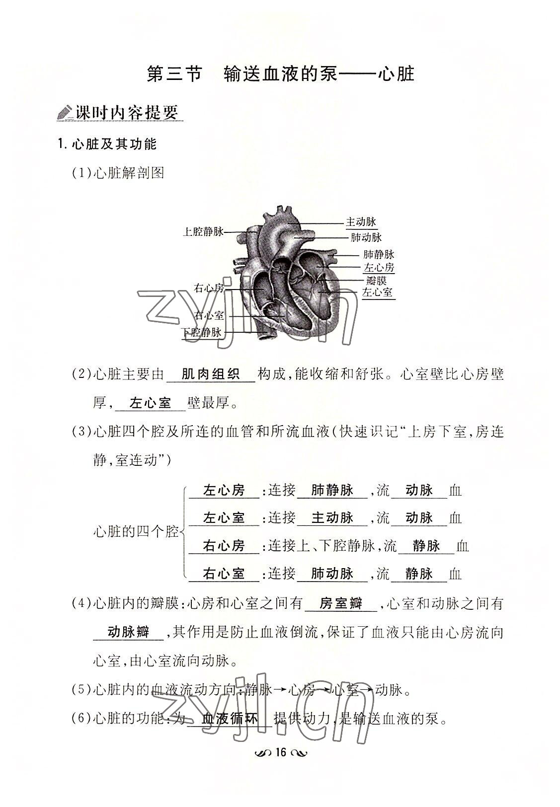 2022年初中同步學習導與練導學探究案七年級生物下冊人教版云南專版 參考答案第16頁