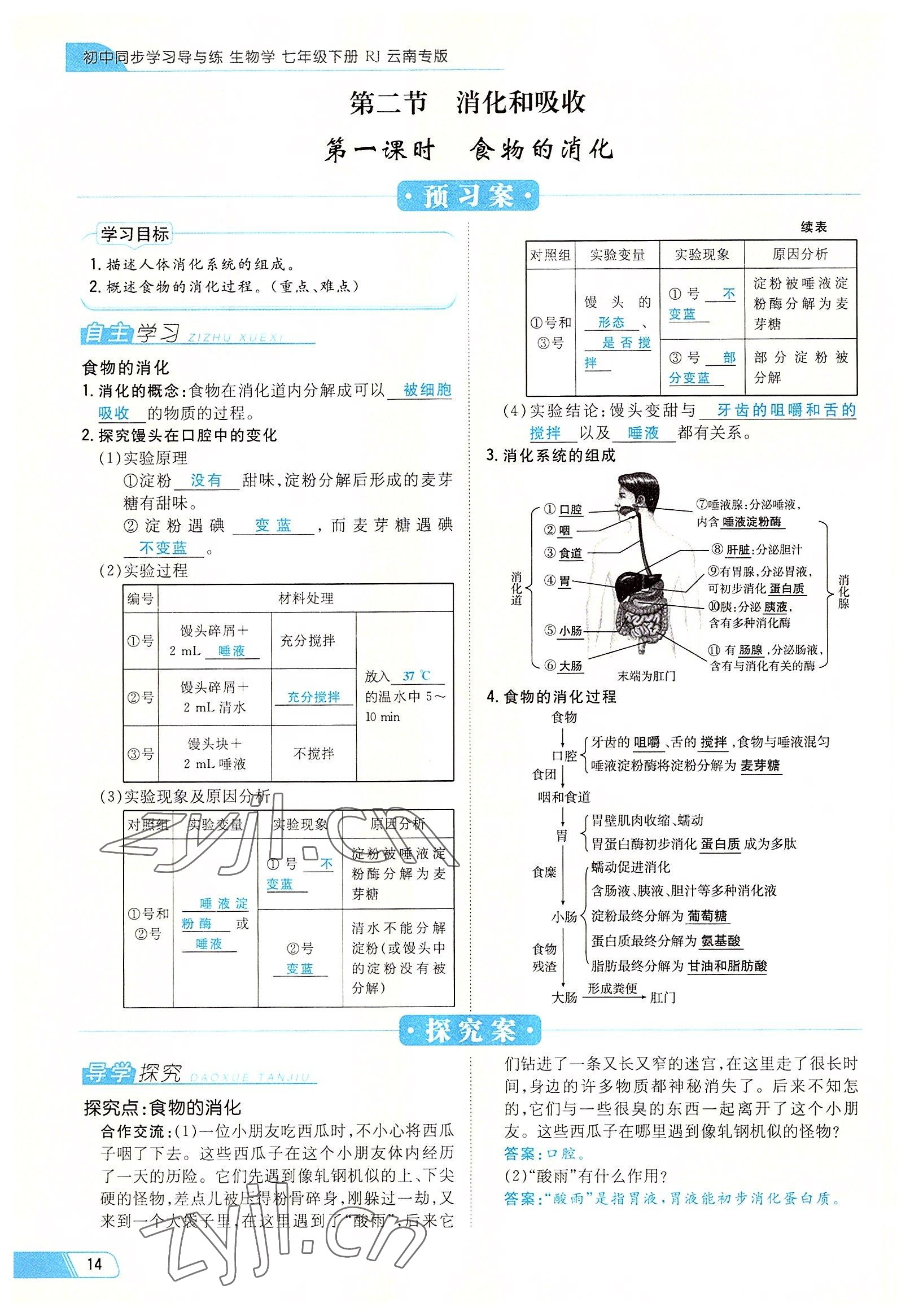 2022年初中同步學(xué)習(xí)導(dǎo)與練導(dǎo)學(xué)探究案七年級生物下冊人教版云南專版 參考答案第14頁