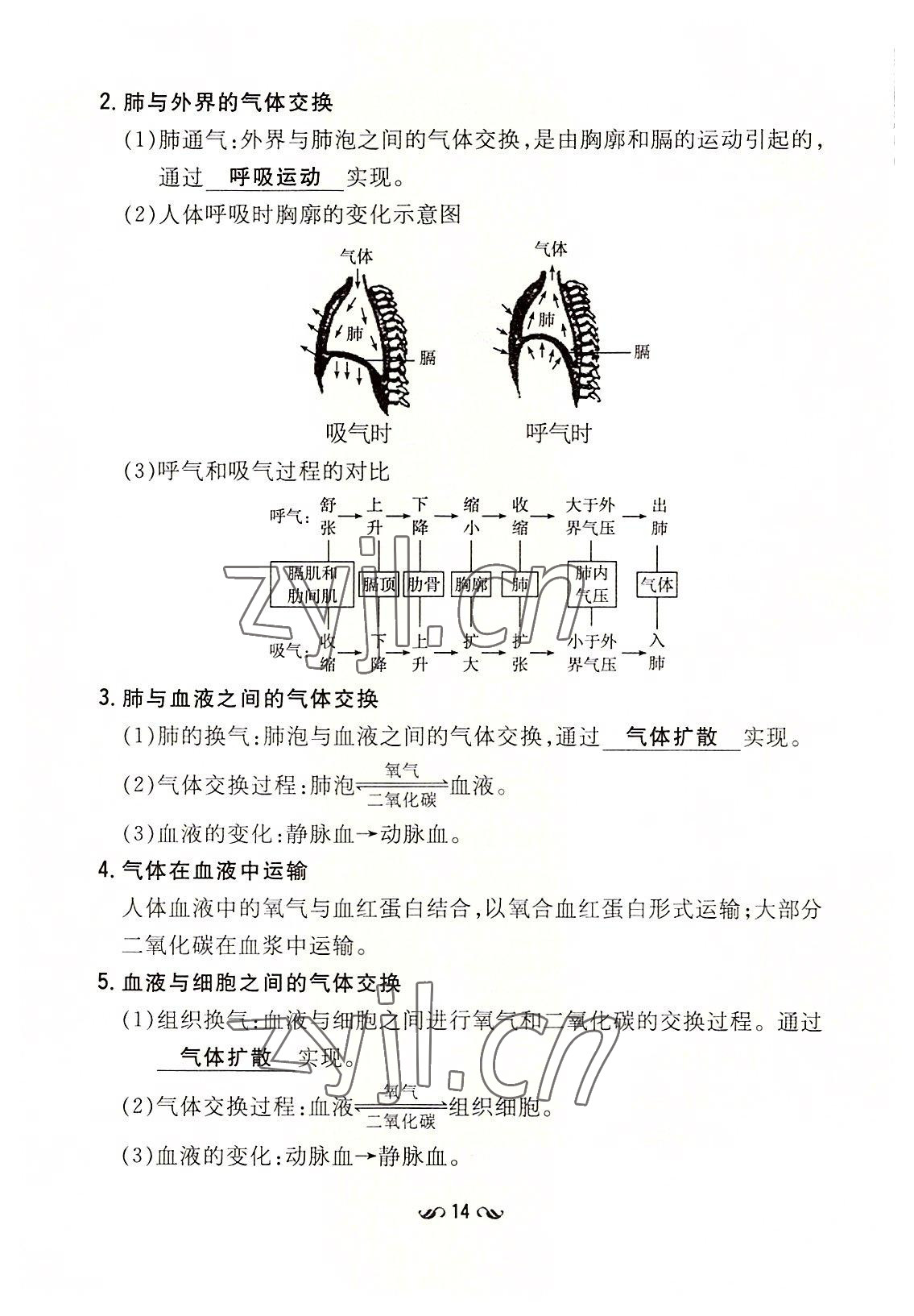 2022年初中同步学习导与练导学探究案七年级生物下册北师大版云南专版 参考答案第14页