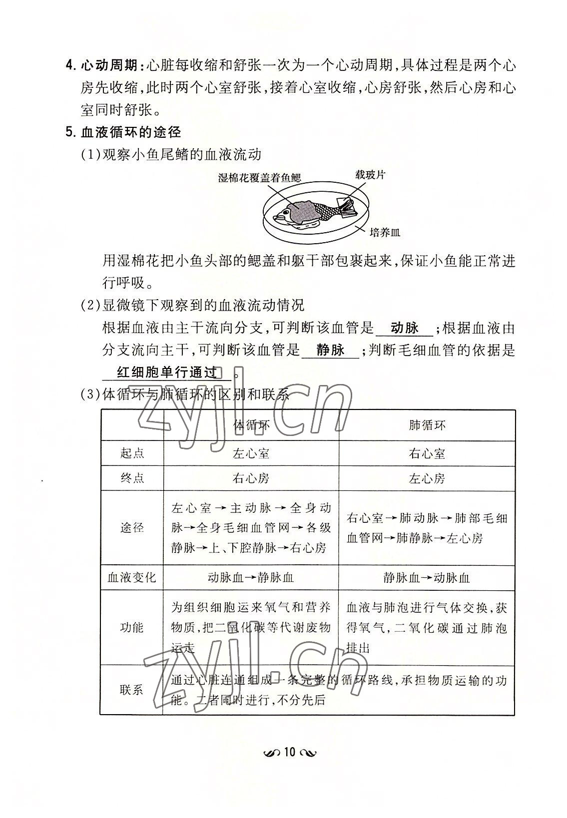 2022年初中同步学习导与练导学探究案七年级生物下册北师大版云南专版 参考答案第10页