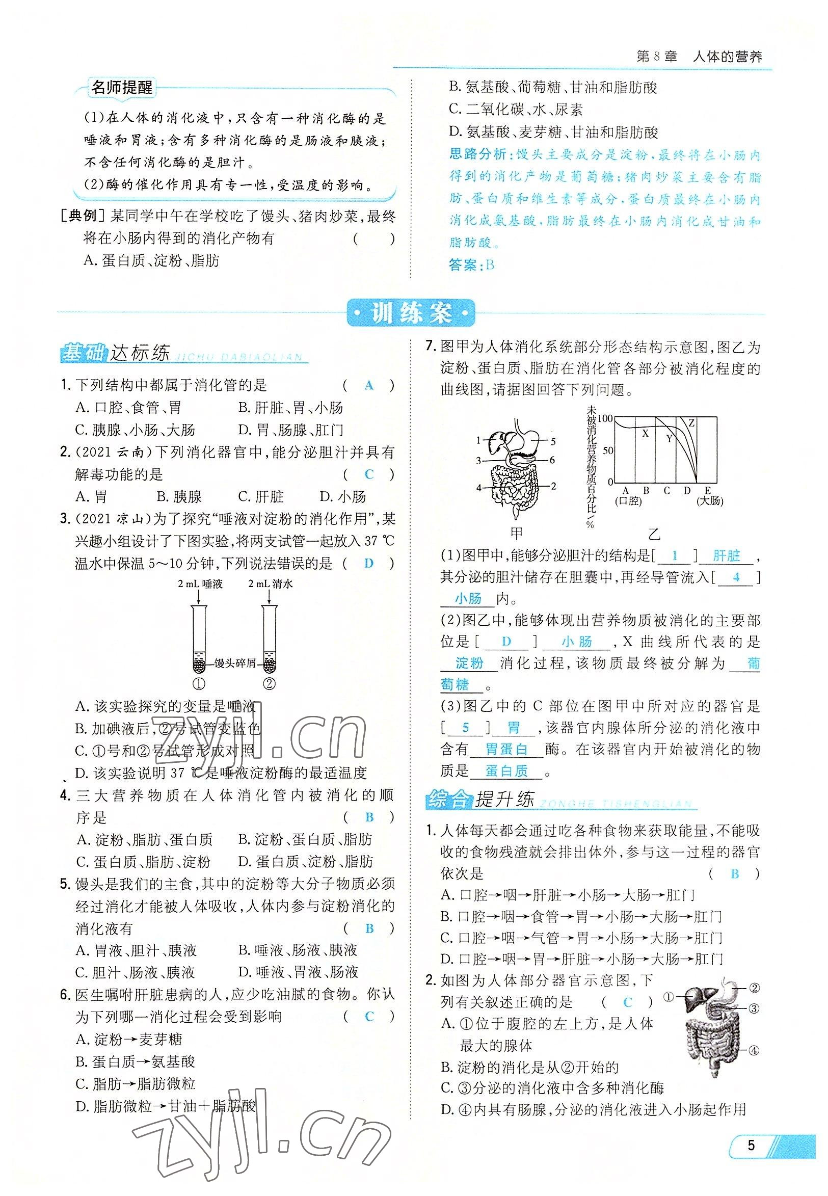 2022年初中同步學(xué)習(xí)導(dǎo)與練導(dǎo)學(xué)探究案七年級生物下冊北師大版云南專版 參考答案第5頁