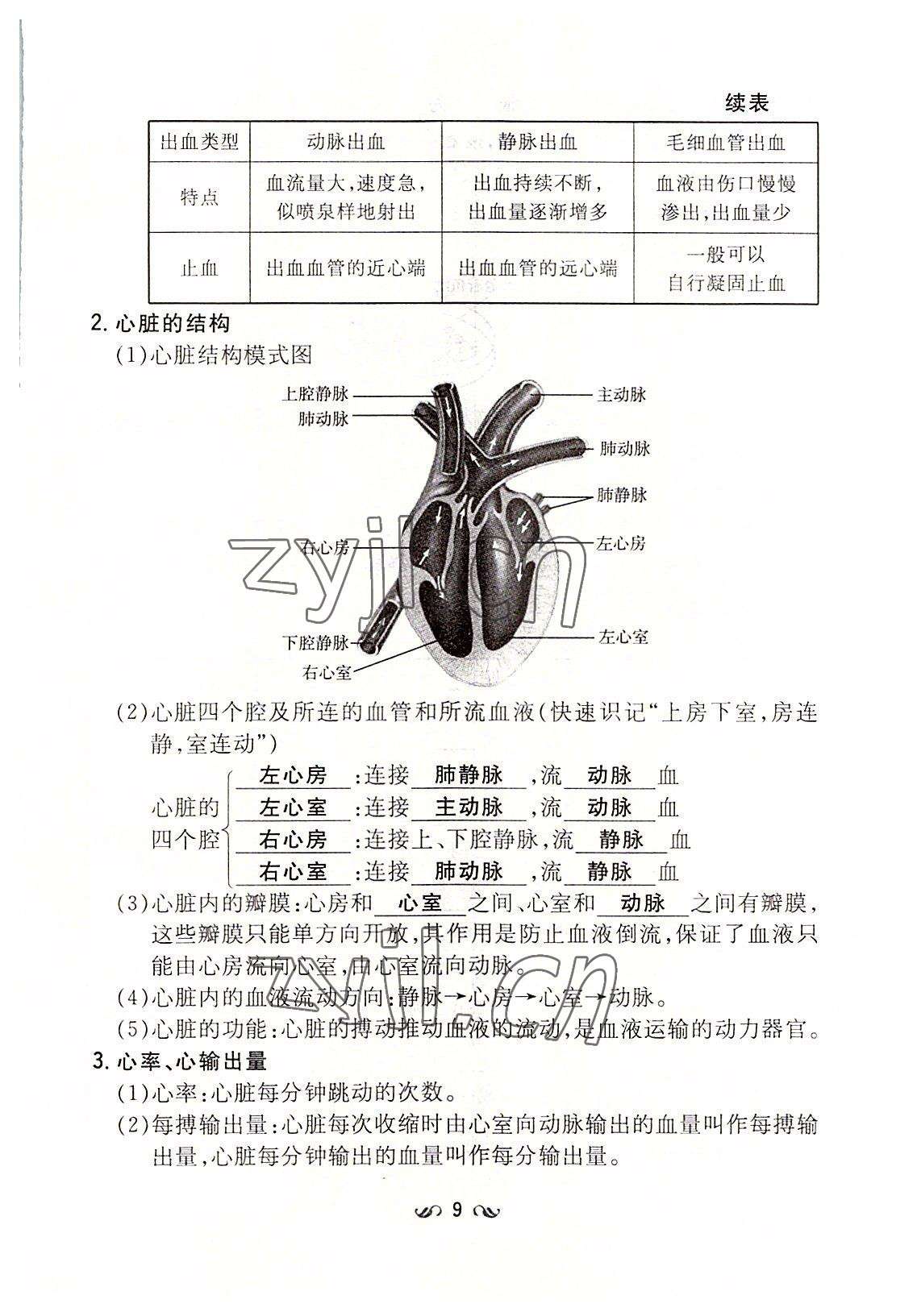 2022年初中同步学习导与练导学探究案七年级生物下册北师大版云南专版 参考答案第9页