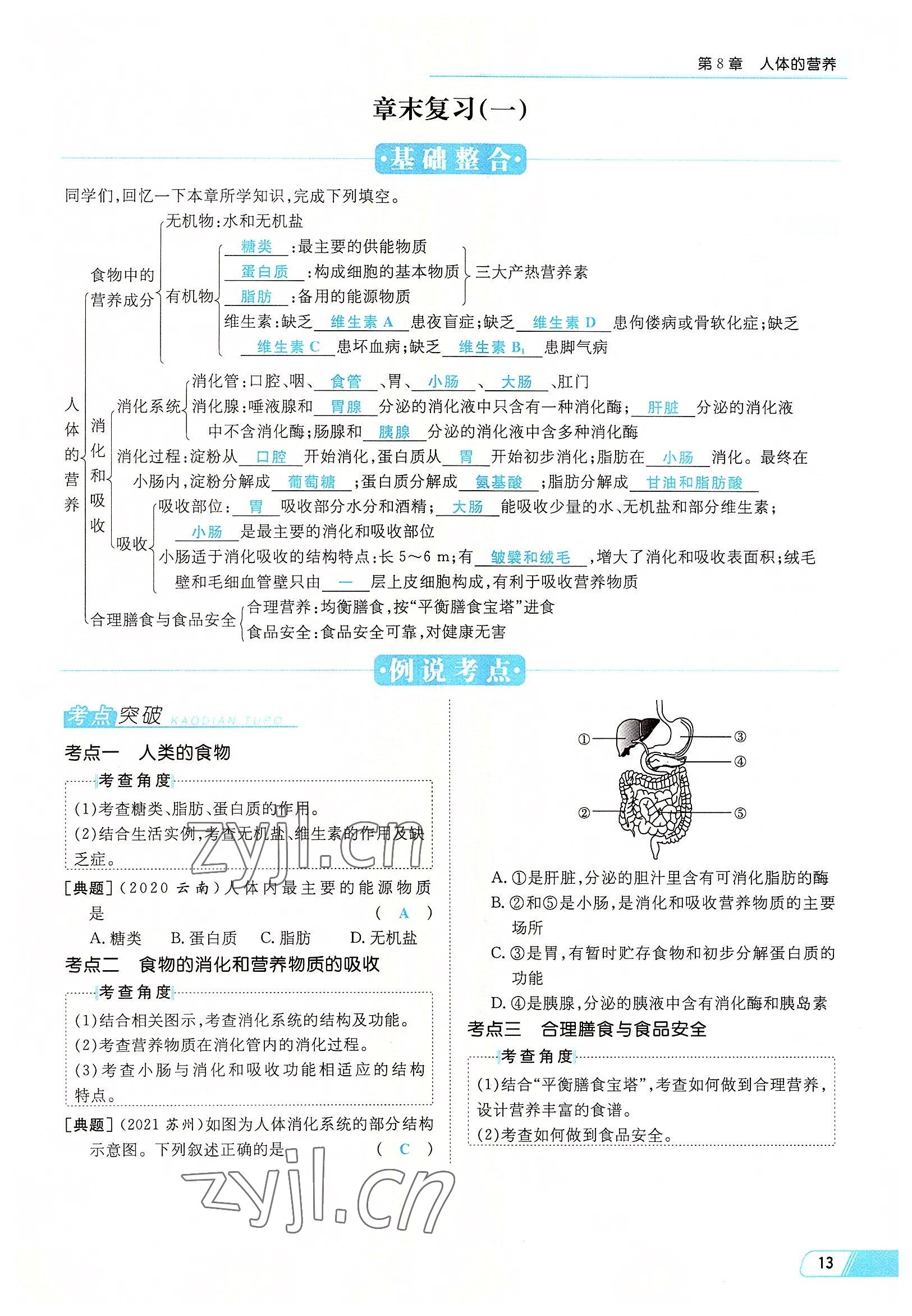 2022年初中同步學(xué)習(xí)導(dǎo)與練導(dǎo)學(xué)探究案七年級(jí)生物下冊(cè)北師大版云南專版 參考答案第13頁