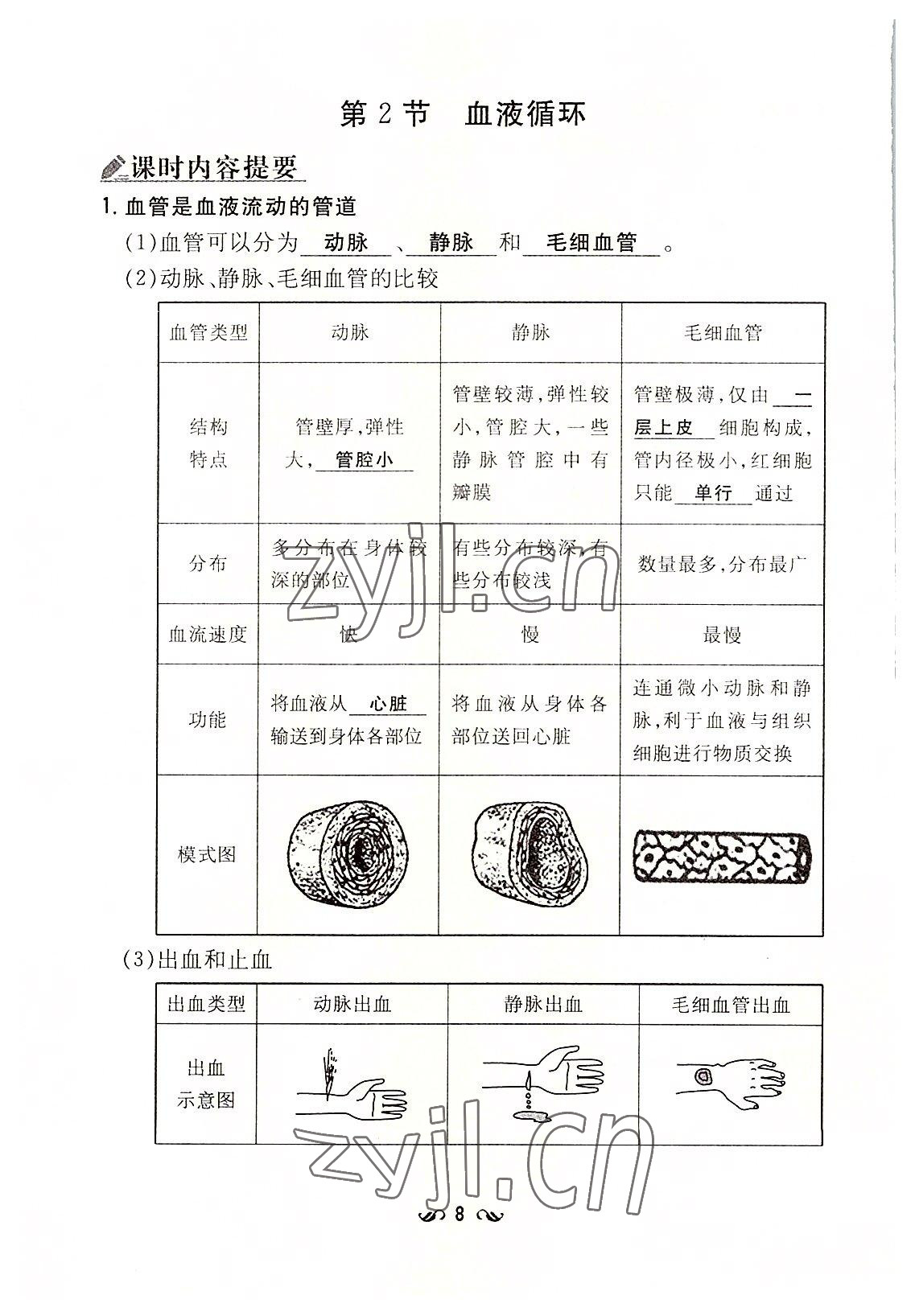 2022年初中同步学习导与练导学探究案七年级生物下册北师大版云南专版 参考答案第8页