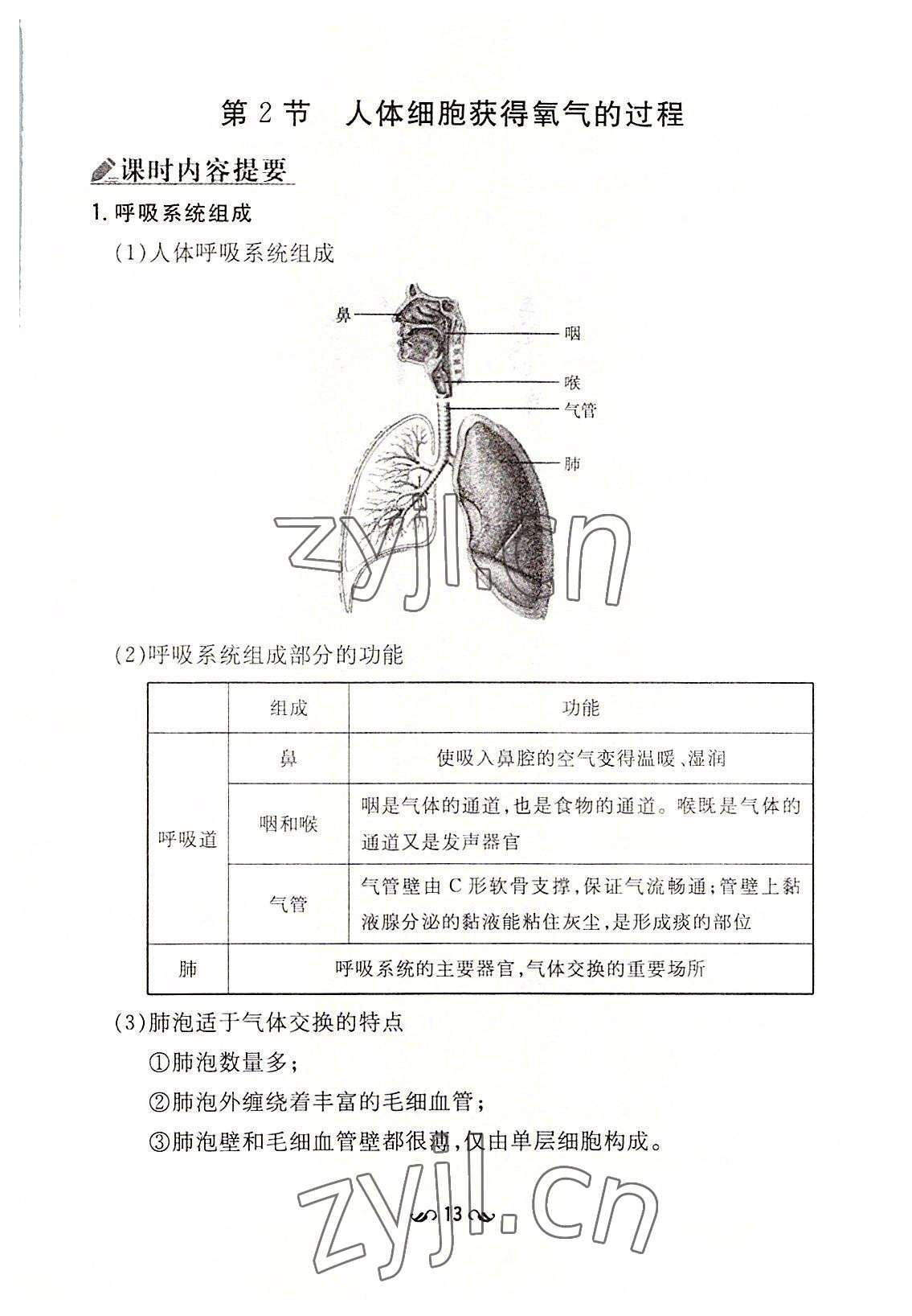 2022年初中同步學(xué)習(xí)導(dǎo)與練導(dǎo)學(xué)探究案七年級(jí)生物下冊(cè)北師大版云南專版 參考答案第13頁