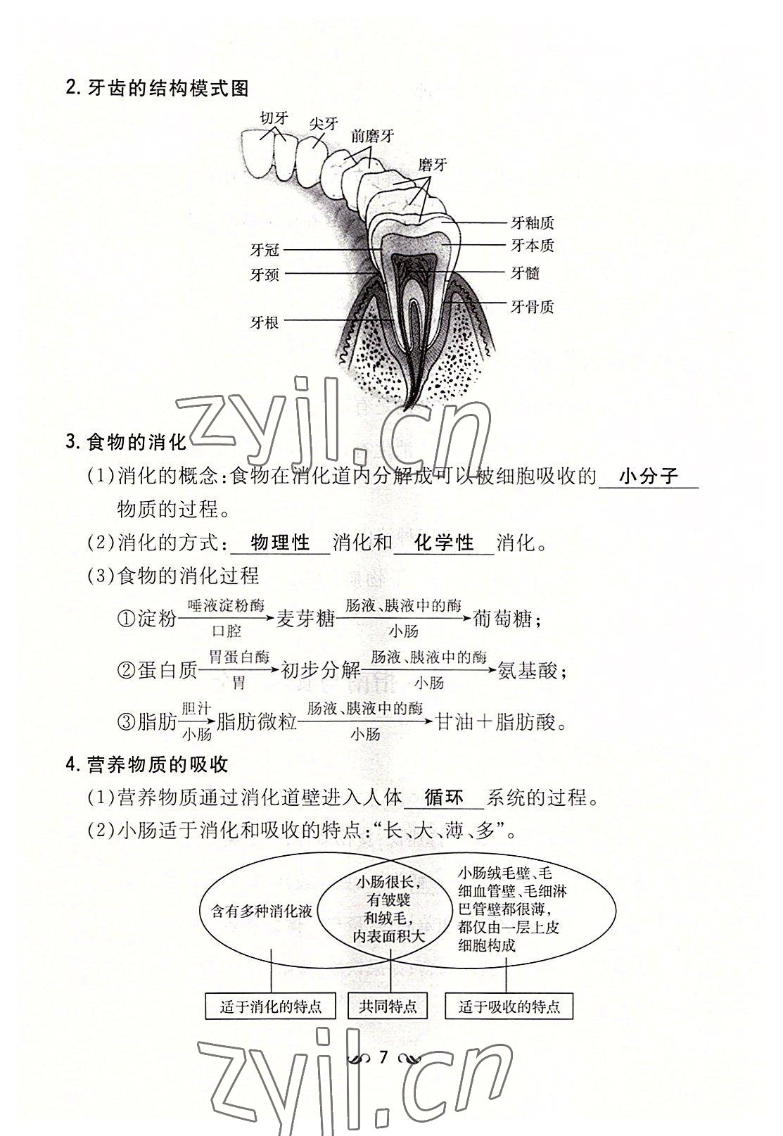 2022年初中同步学习导与练导学探究案七年级生物下册苏教版 参考答案第7页