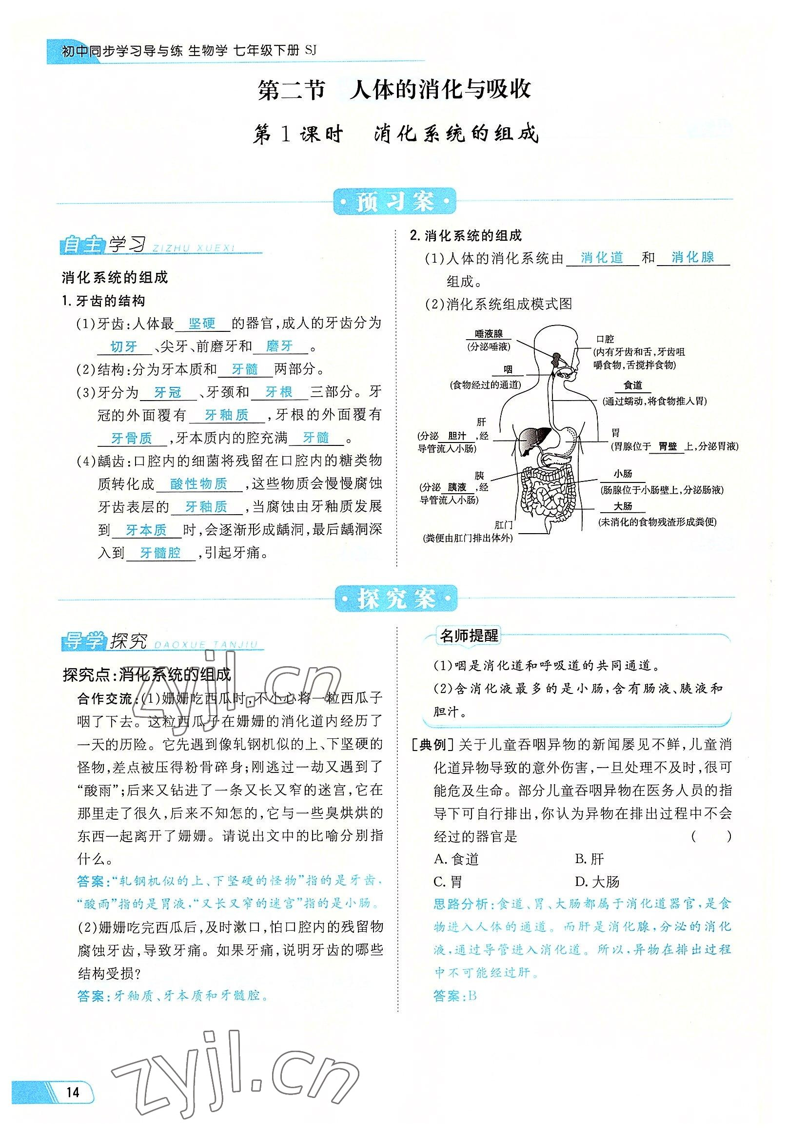 2022年初中同步學習導與練導學探究案七年級生物下冊蘇教版 參考答案第14頁