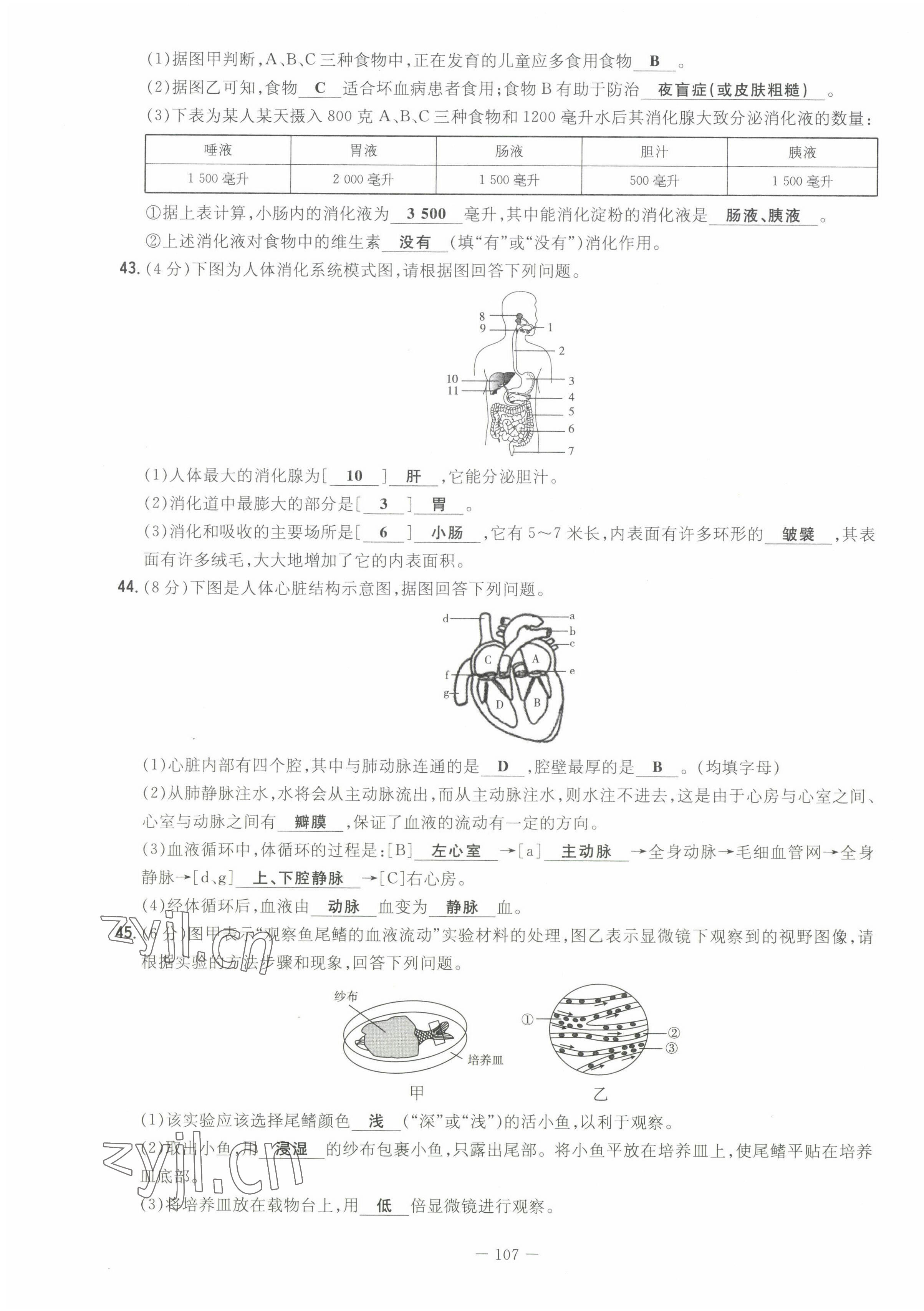 2022年初中同步學(xué)習(xí)導(dǎo)與練導(dǎo)學(xué)探究案七年級生物下冊蘇教版 第15頁