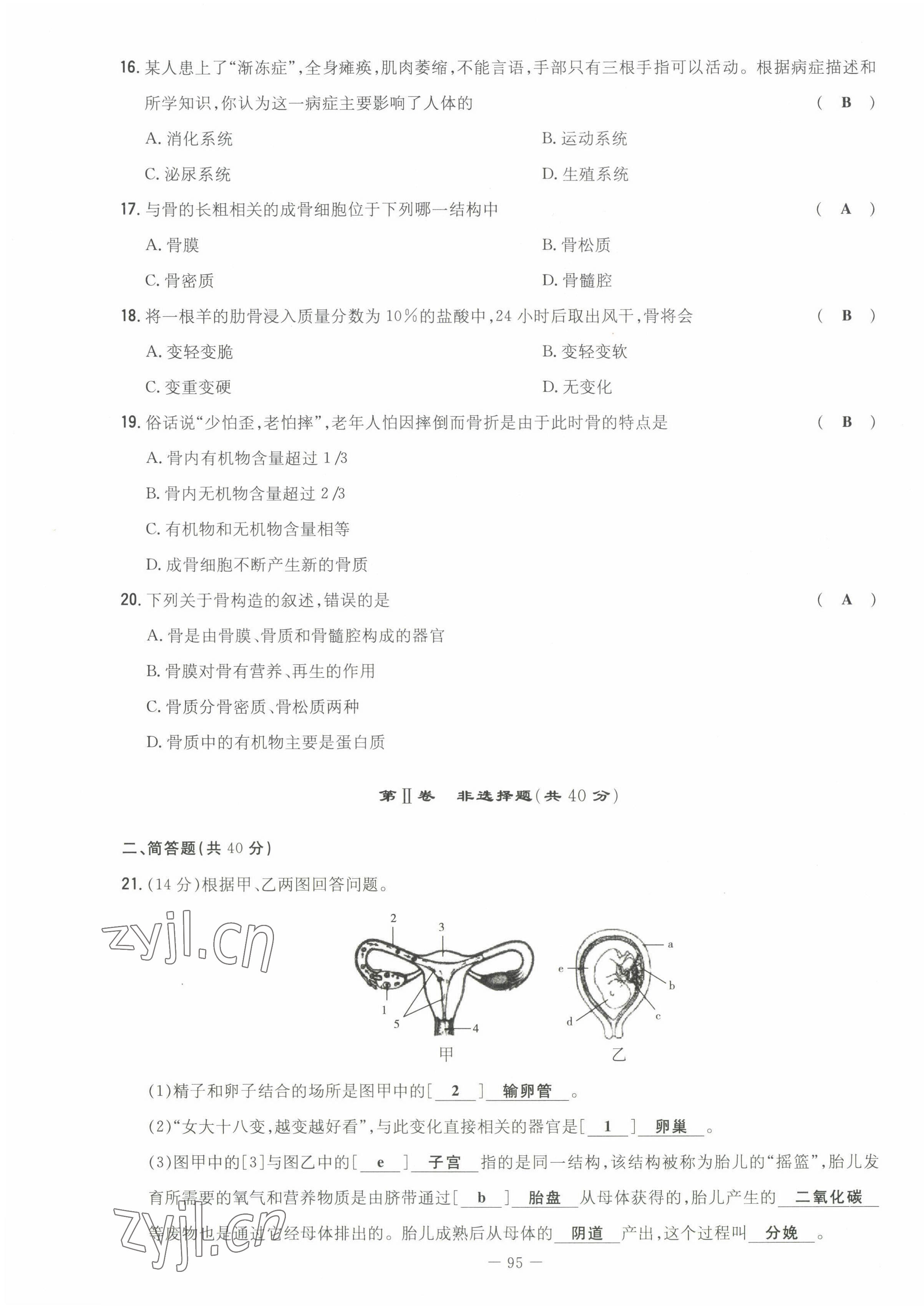 2022年初中同步学习导与练导学探究案七年级生物下册苏教版 第3页