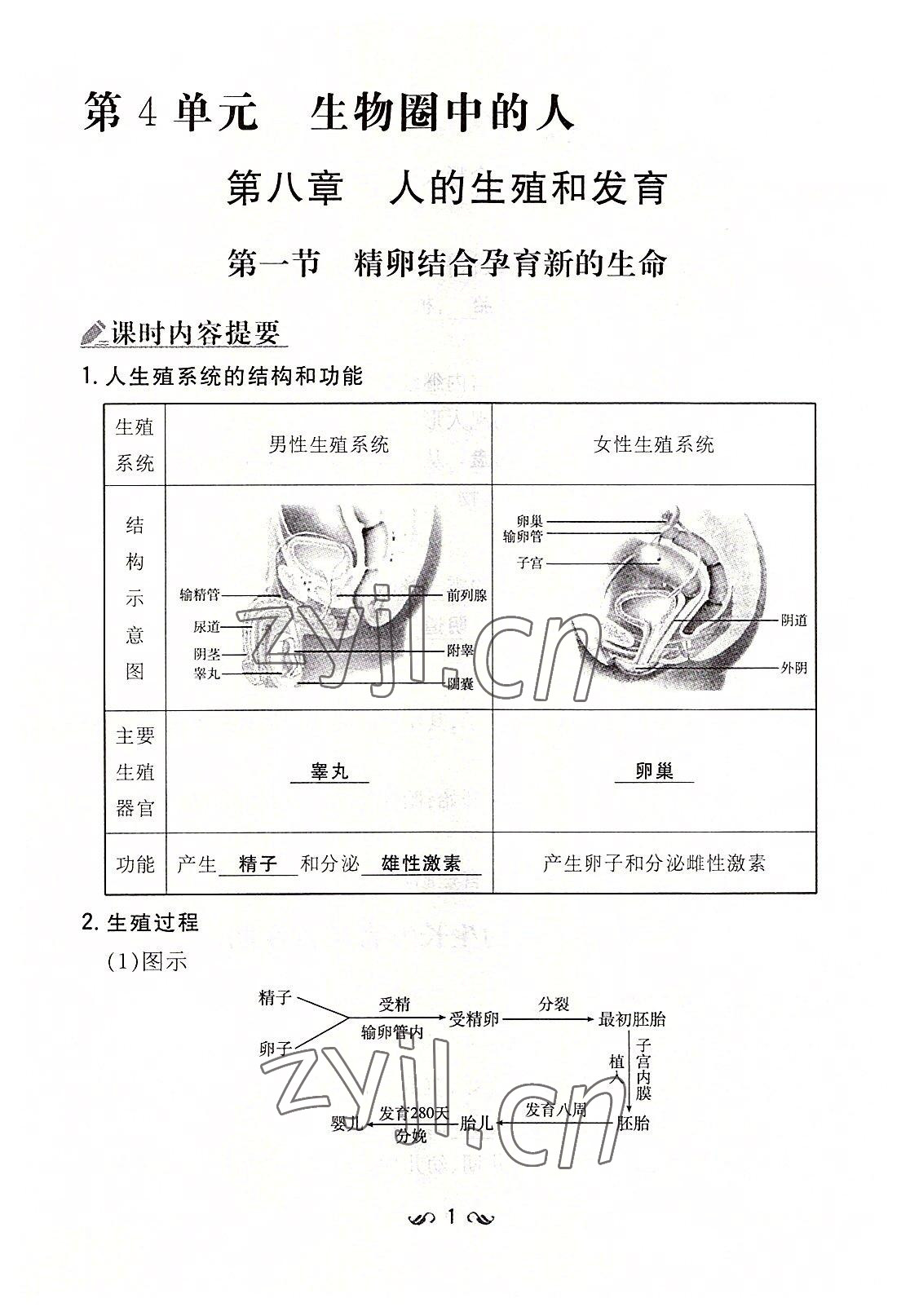 2022年初中同步学习导与练导学探究案七年级生物下册苏教版 参考答案第1页