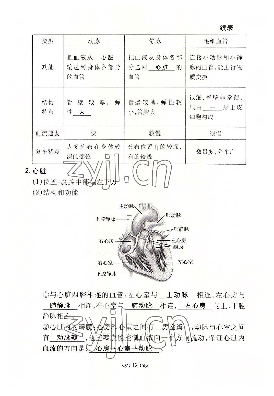 2022年初中同步学习导与练导学探究案七年级生物下册苏教版 参考答案第12页