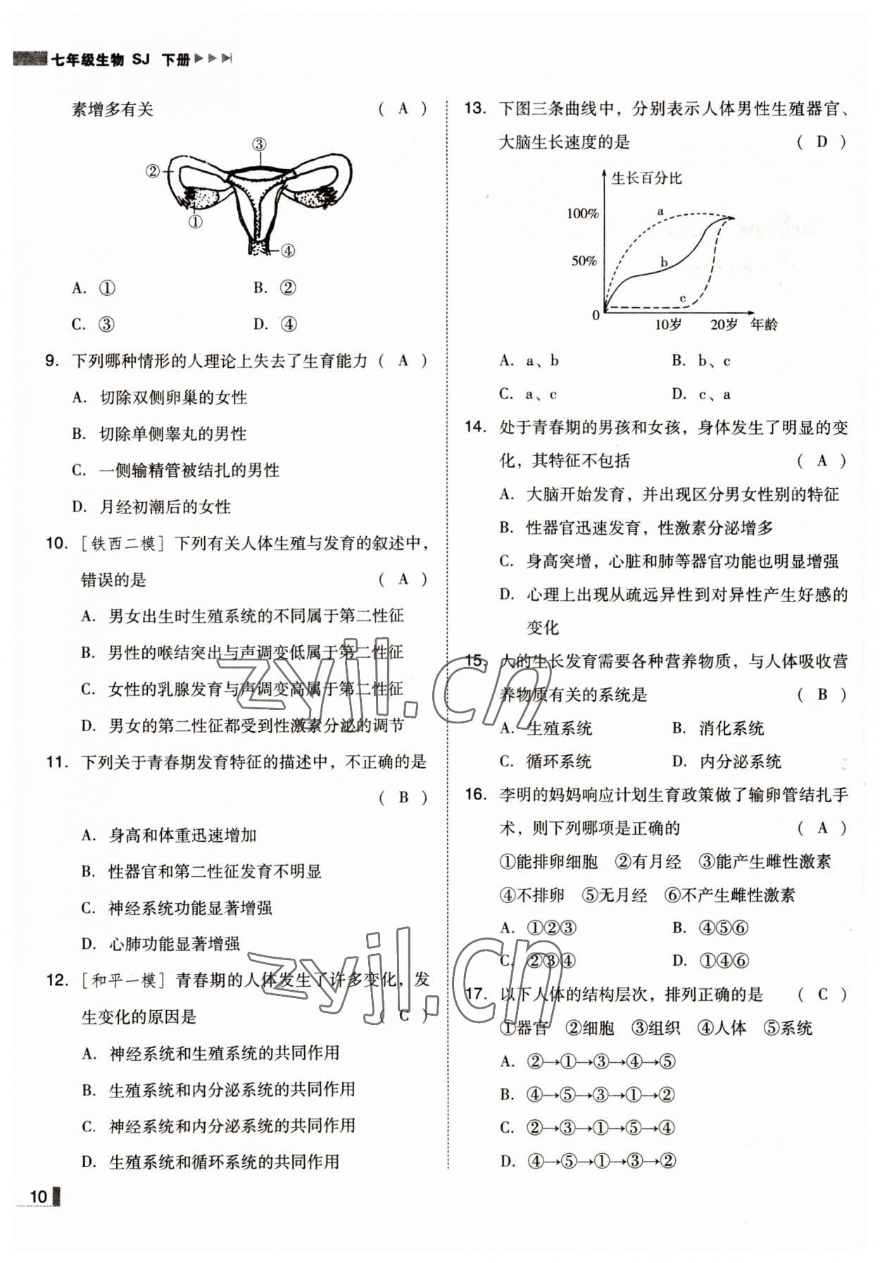 2022年遼寧作業(yè)分層培優(yōu)學(xué)案七年級(jí)生物下冊(cè)蘇教版 參考答案第10頁(yè)