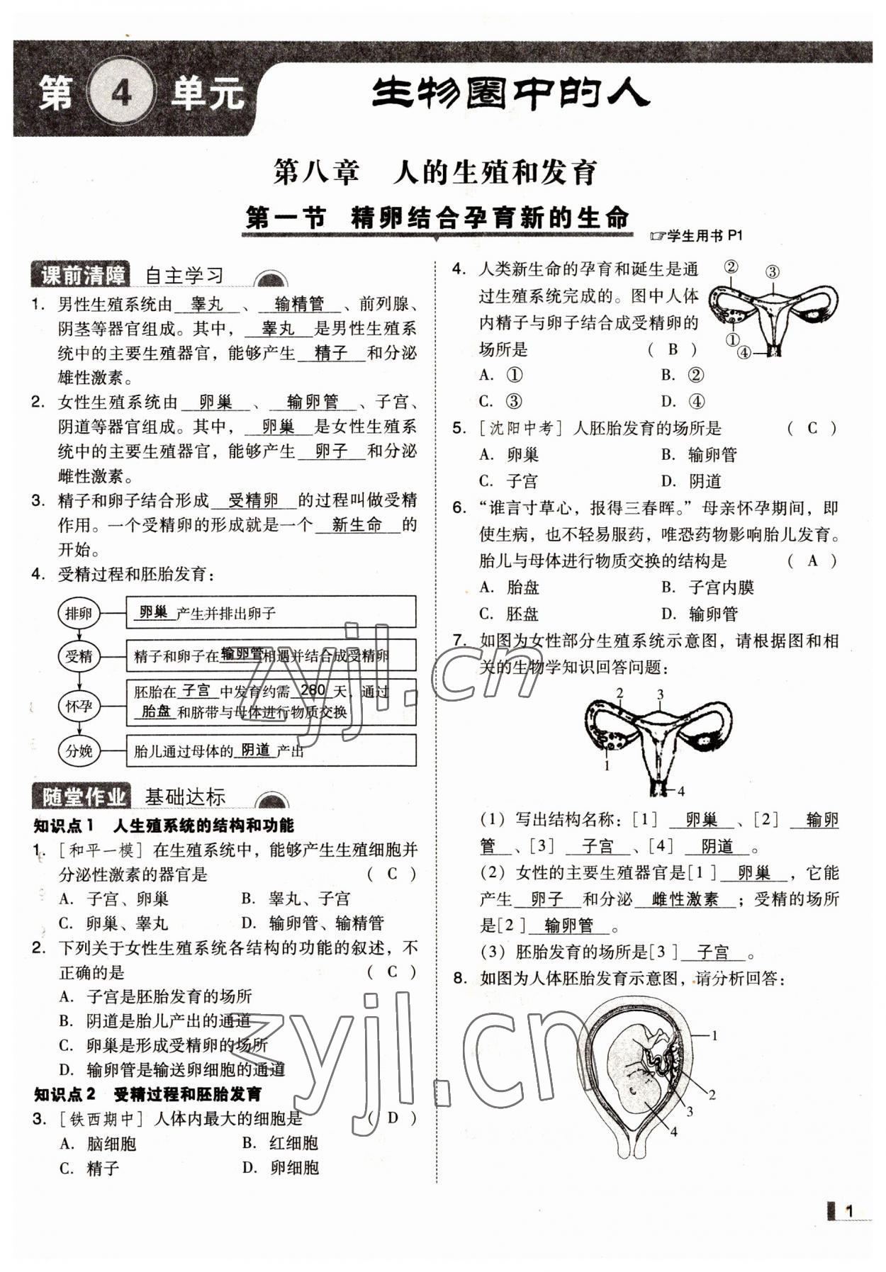 2022年遼寧作業(yè)分層培優(yōu)學案七年級生物下冊蘇教版 參考答案第1頁