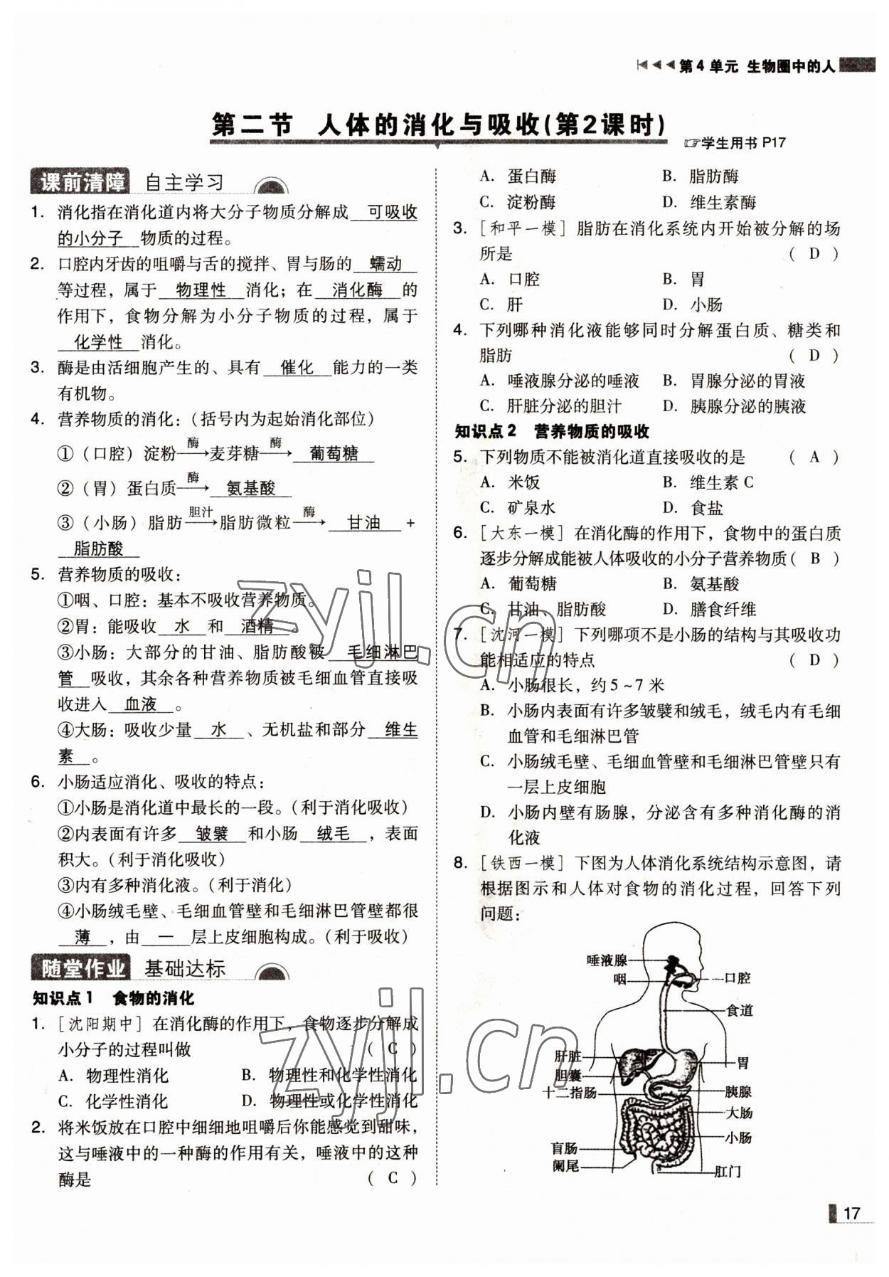 2022年遼寧作業(yè)分層培優(yōu)學(xué)案七年級生物下冊蘇教版 參考答案第17頁