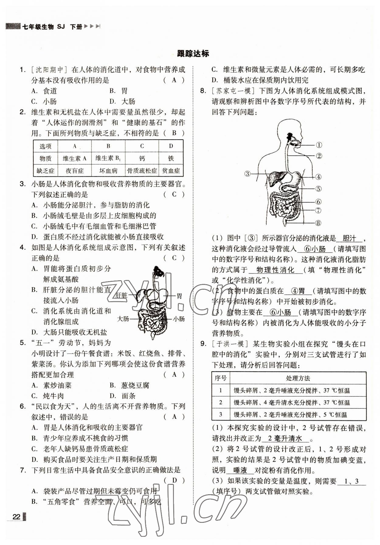 2022年遼寧作業(yè)分層培優(yōu)學(xué)案七年級生物下冊蘇教版 參考答案第22頁