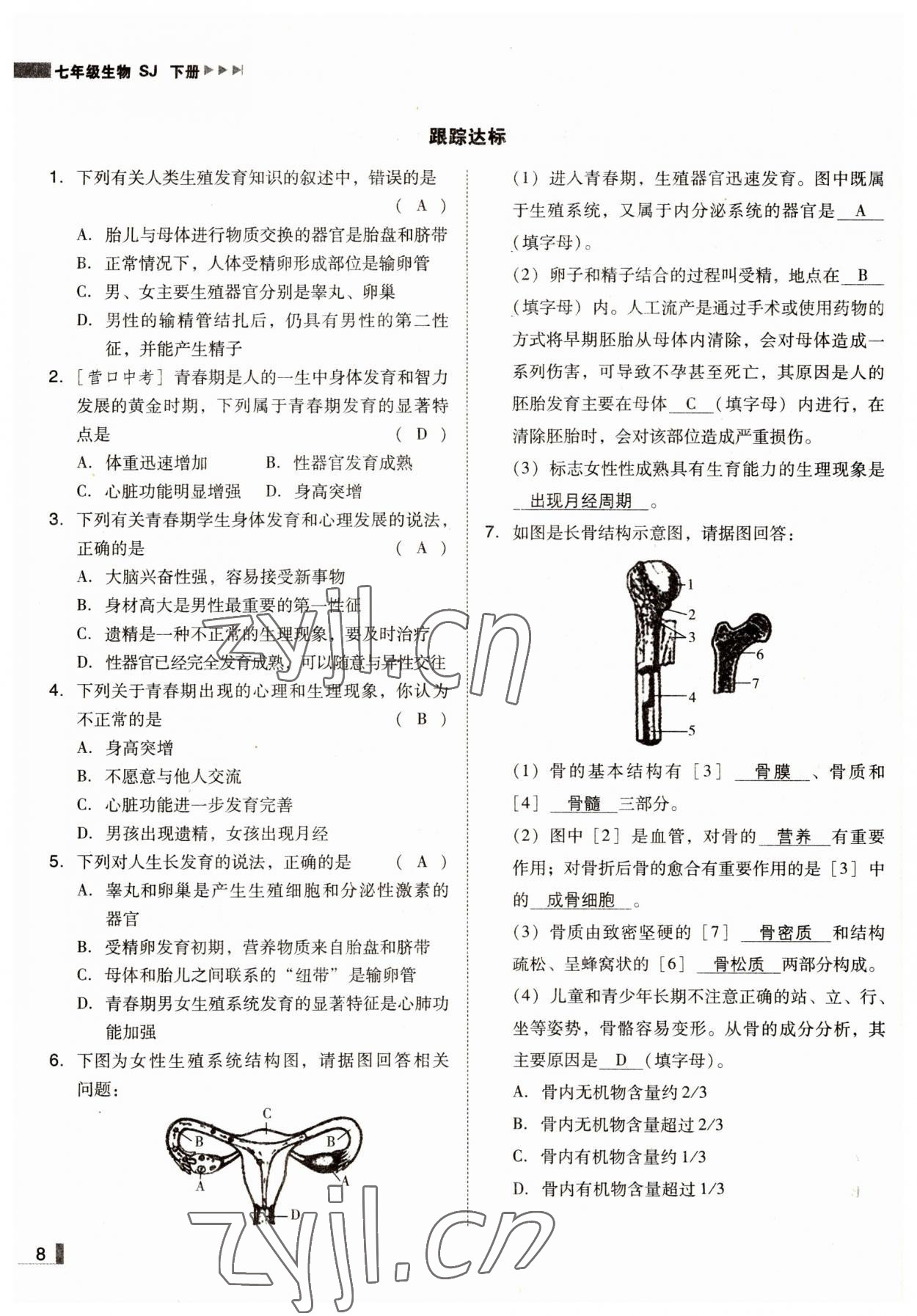 2022年遼寧作業(yè)分層培優(yōu)學(xué)案七年級(jí)生物下冊(cè)蘇教版 參考答案第8頁