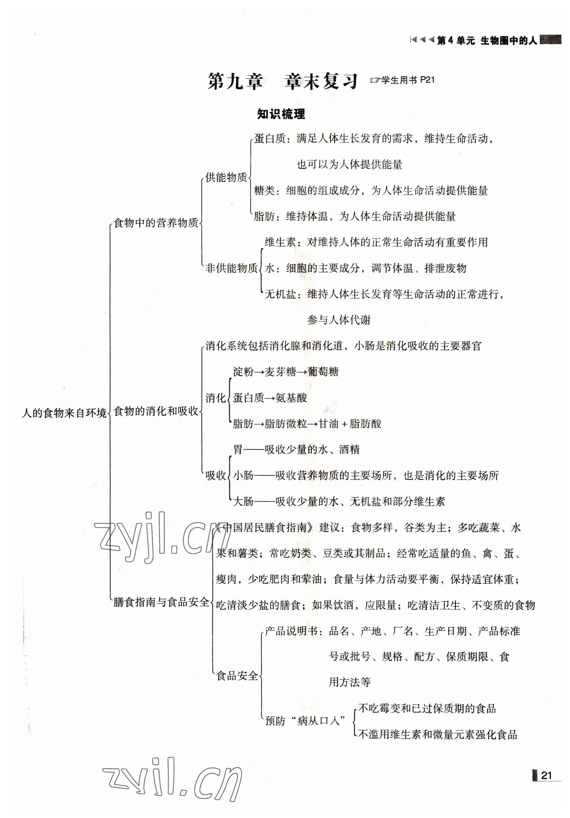 2022年遼寧作業(yè)分層培優(yōu)學(xué)案七年級生物下冊蘇教版 參考答案第21頁