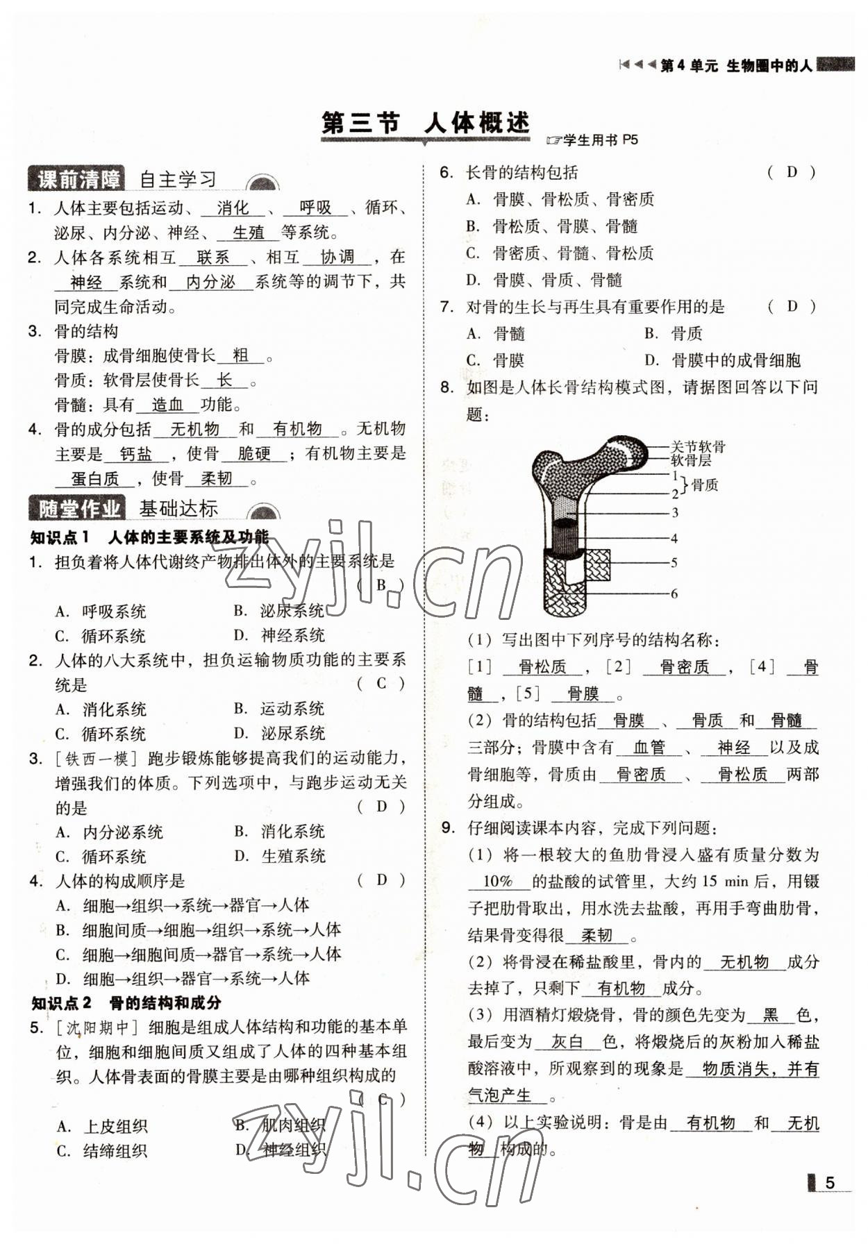 2022年遼寧作業(yè)分層培優(yōu)學案七年級生物下冊蘇教版 參考答案第5頁