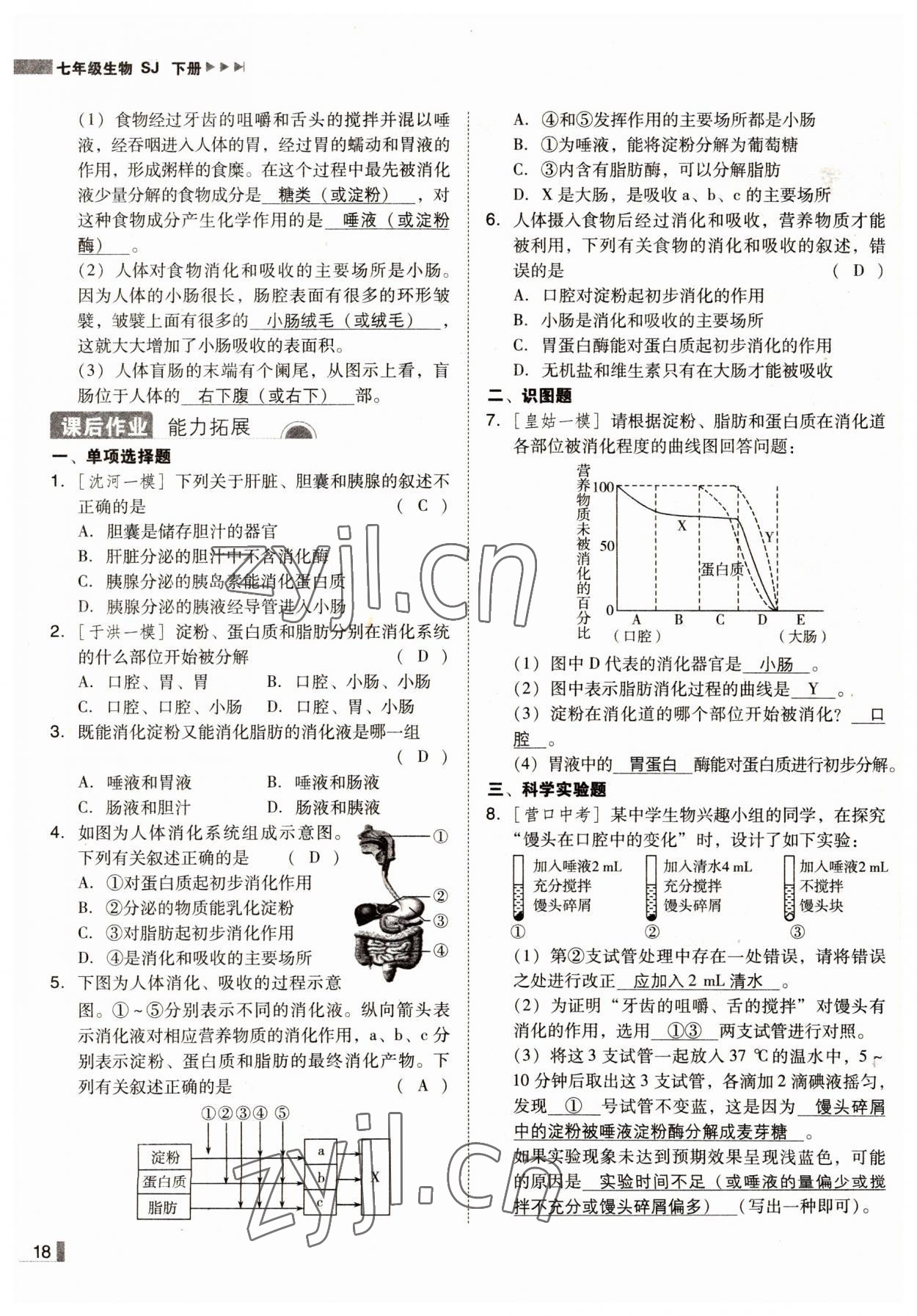 2022年遼寧作業(yè)分層培優(yōu)學(xué)案七年級(jí)生物下冊(cè)蘇教版 參考答案第18頁(yè)