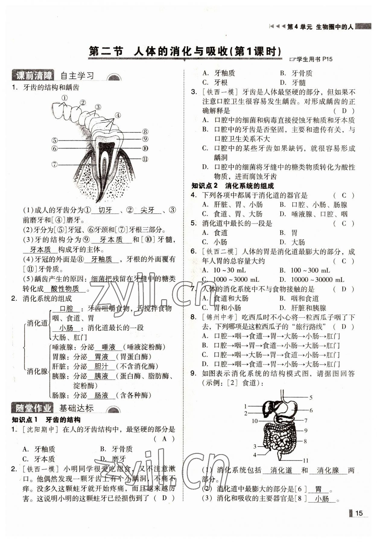 2022年遼寧作業(yè)分層培優(yōu)學(xué)案七年級(jí)生物下冊(cè)蘇教版 參考答案第15頁(yè)