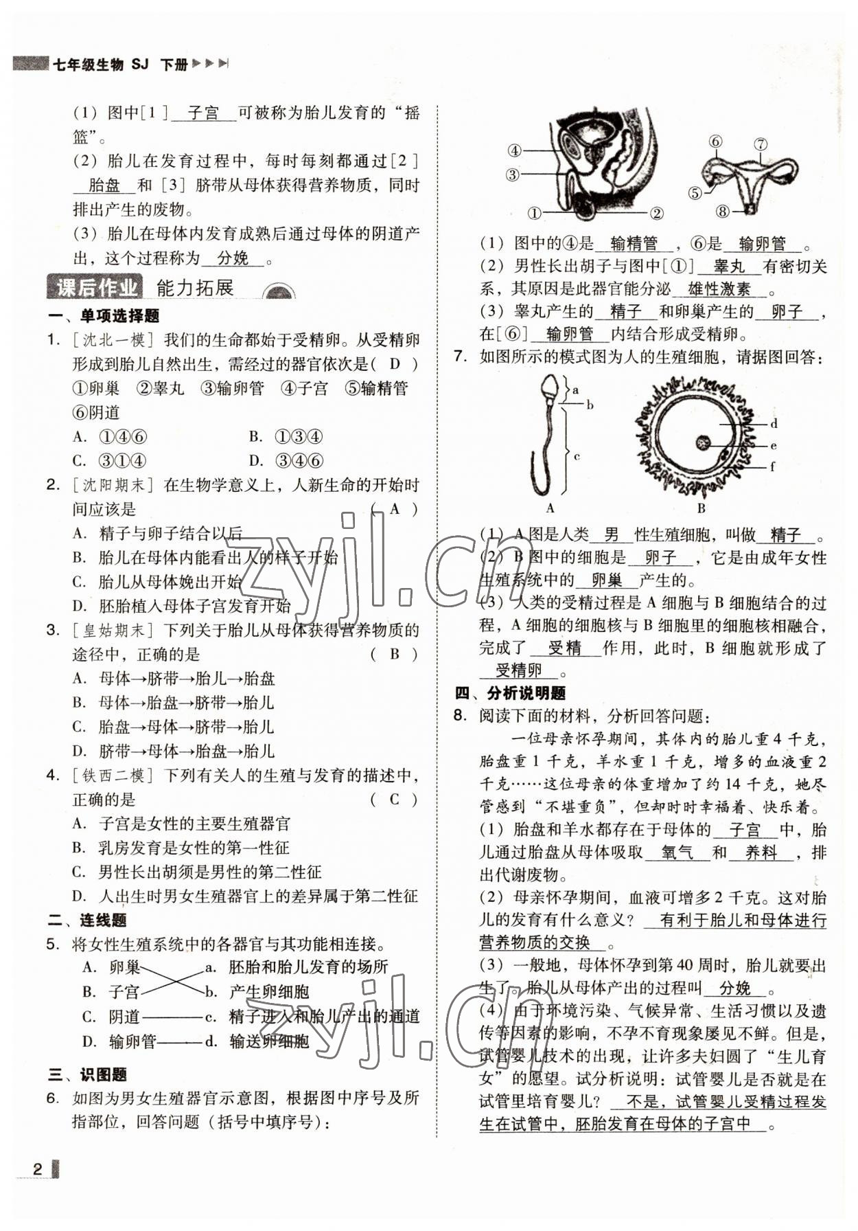 2022年遼寧作業(yè)分層培優(yōu)學(xué)案七年級(jí)生物下冊(cè)蘇教版 參考答案第2頁(yè)