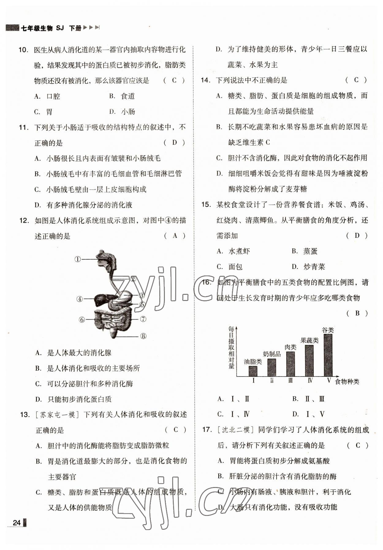 2022年遼寧作業(yè)分層培優(yōu)學(xué)案七年級(jí)生物下冊(cè)蘇教版 參考答案第24頁(yè)