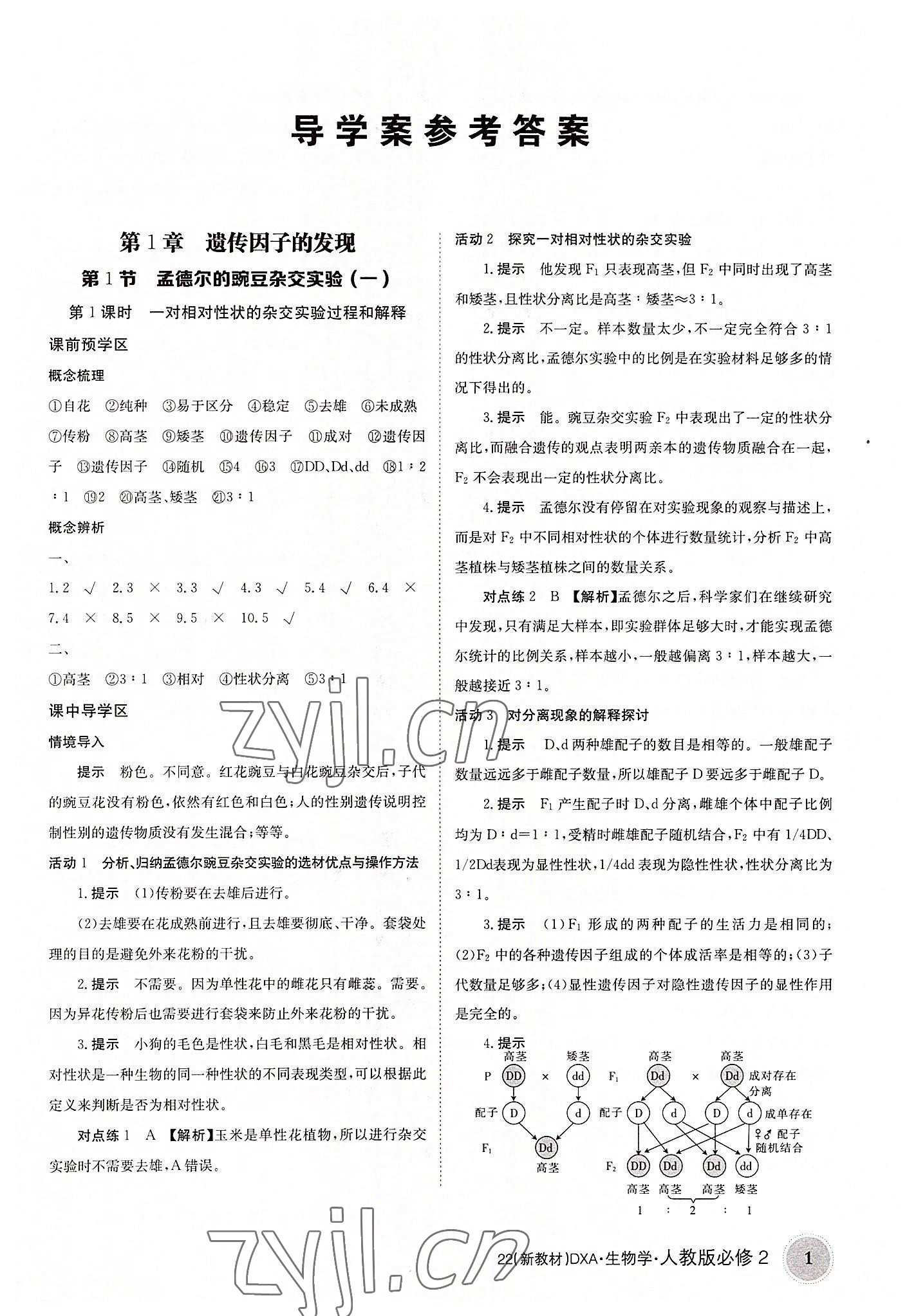 2022年新教材金太陽導學案生物必修2人教版 參考答案第1頁