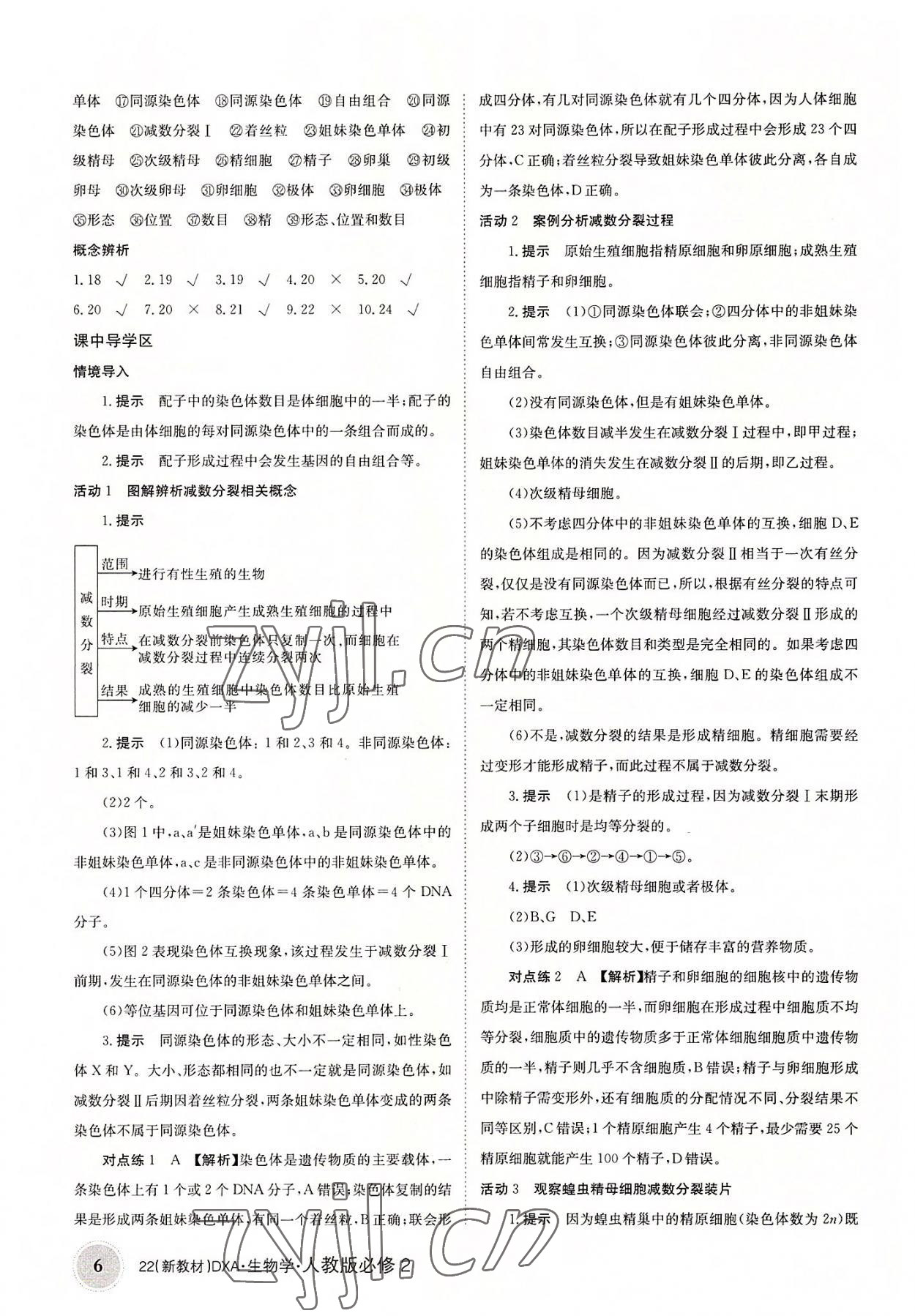 2022年新教材金太陽導(dǎo)學(xué)案生物必修2人教版 參考答案第6頁