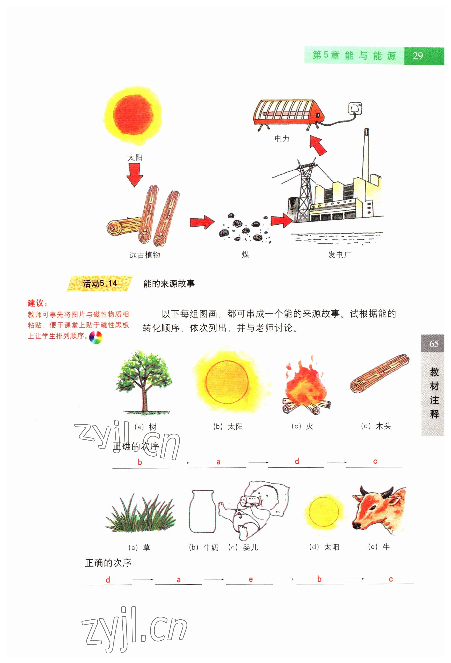 2022年教材课本六年级科学第二学期沪教版54制 参考答案第29页