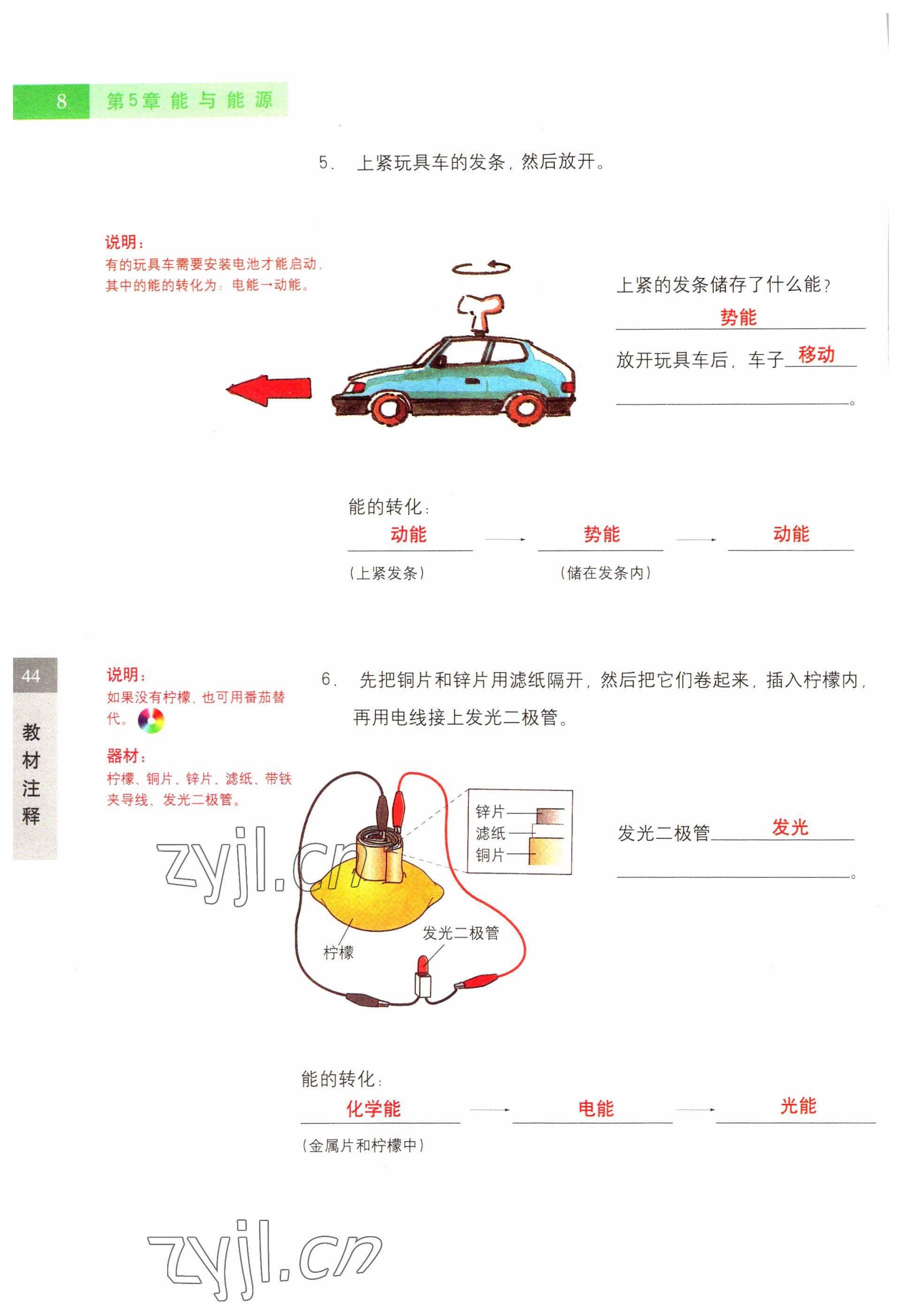 2022年教材课本六年级科学第二学期沪教版54制 参考答案第8页