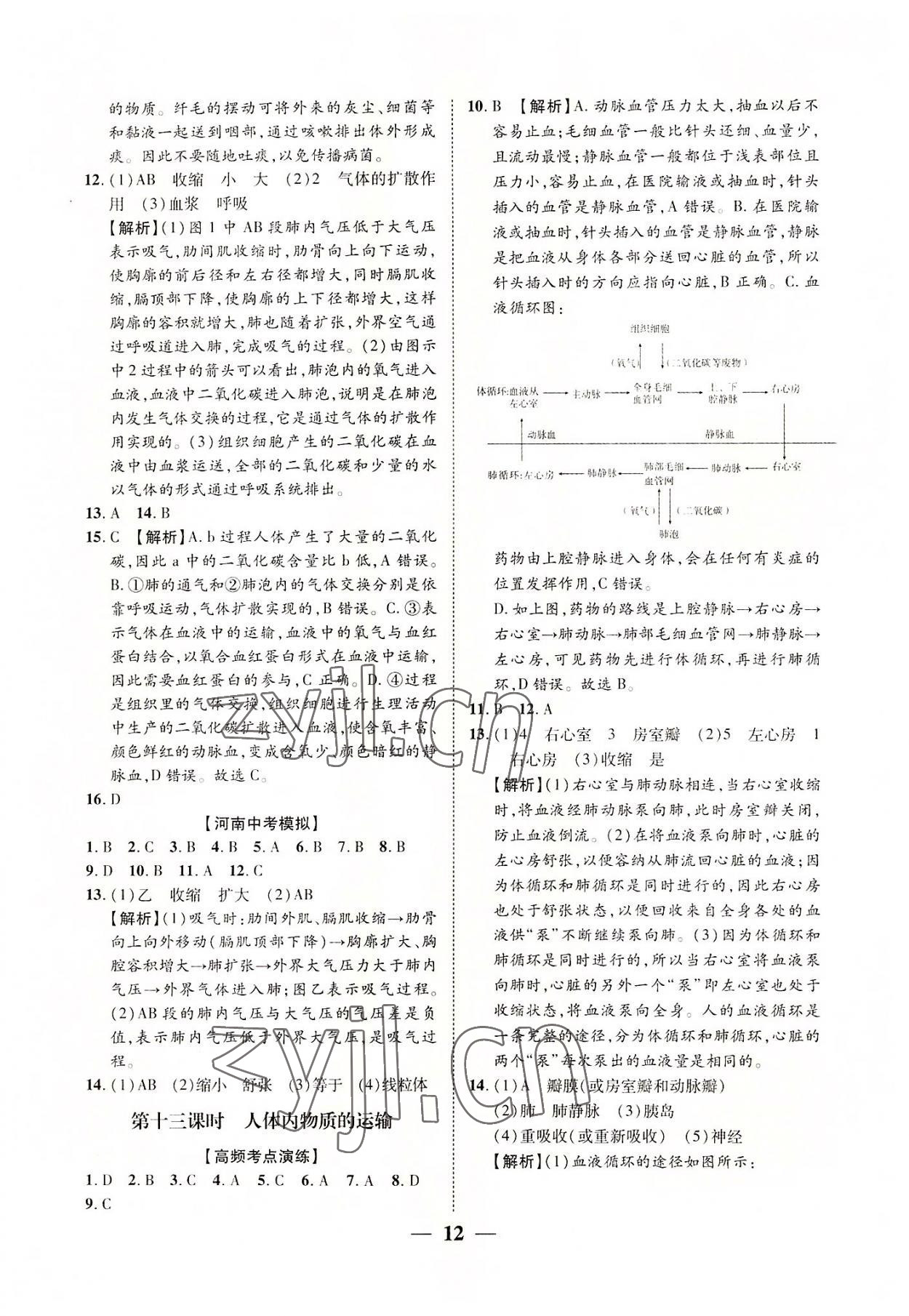 2022年中考对策生物人教版河南专版 参考答案第12页