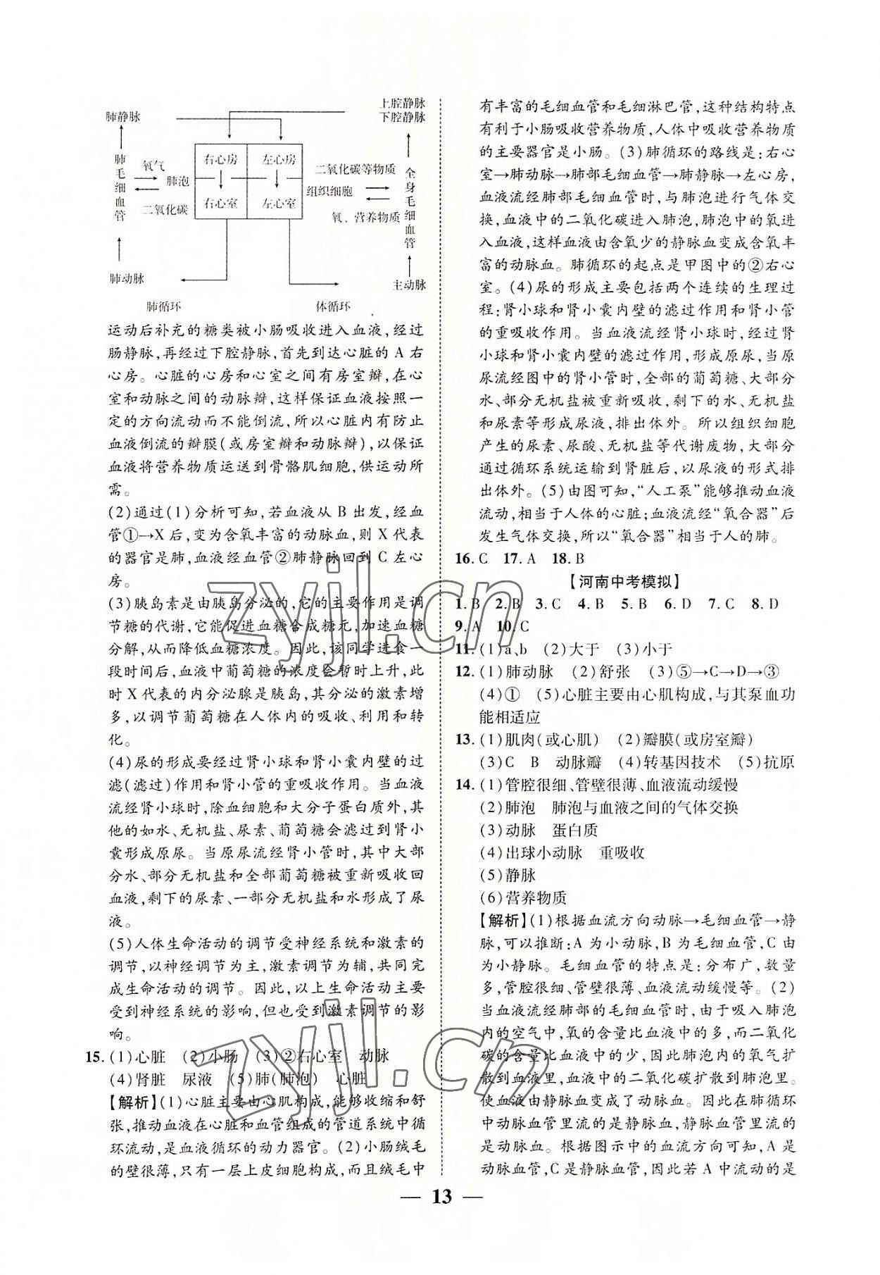 2022年中考对策生物人教版河南专版 参考答案第13页